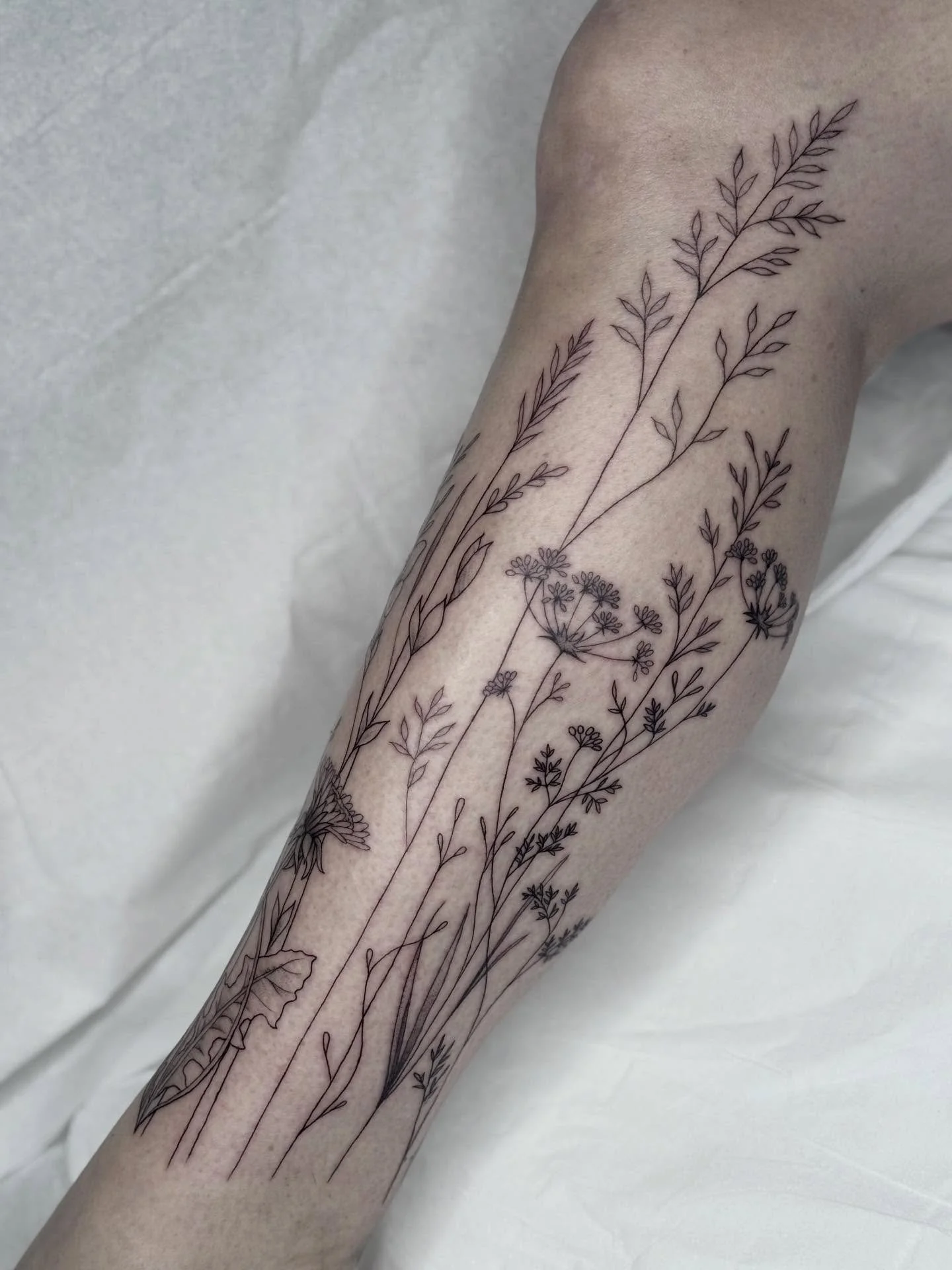 Wild meadow leg piece in progress, for one of my favourite clients 🥰✨ 

Tattooing people is such a gift. Not only do I get to create, I get to meet so many people that have an impact on my life- and it feels like meeting up with a friend. Thank you 