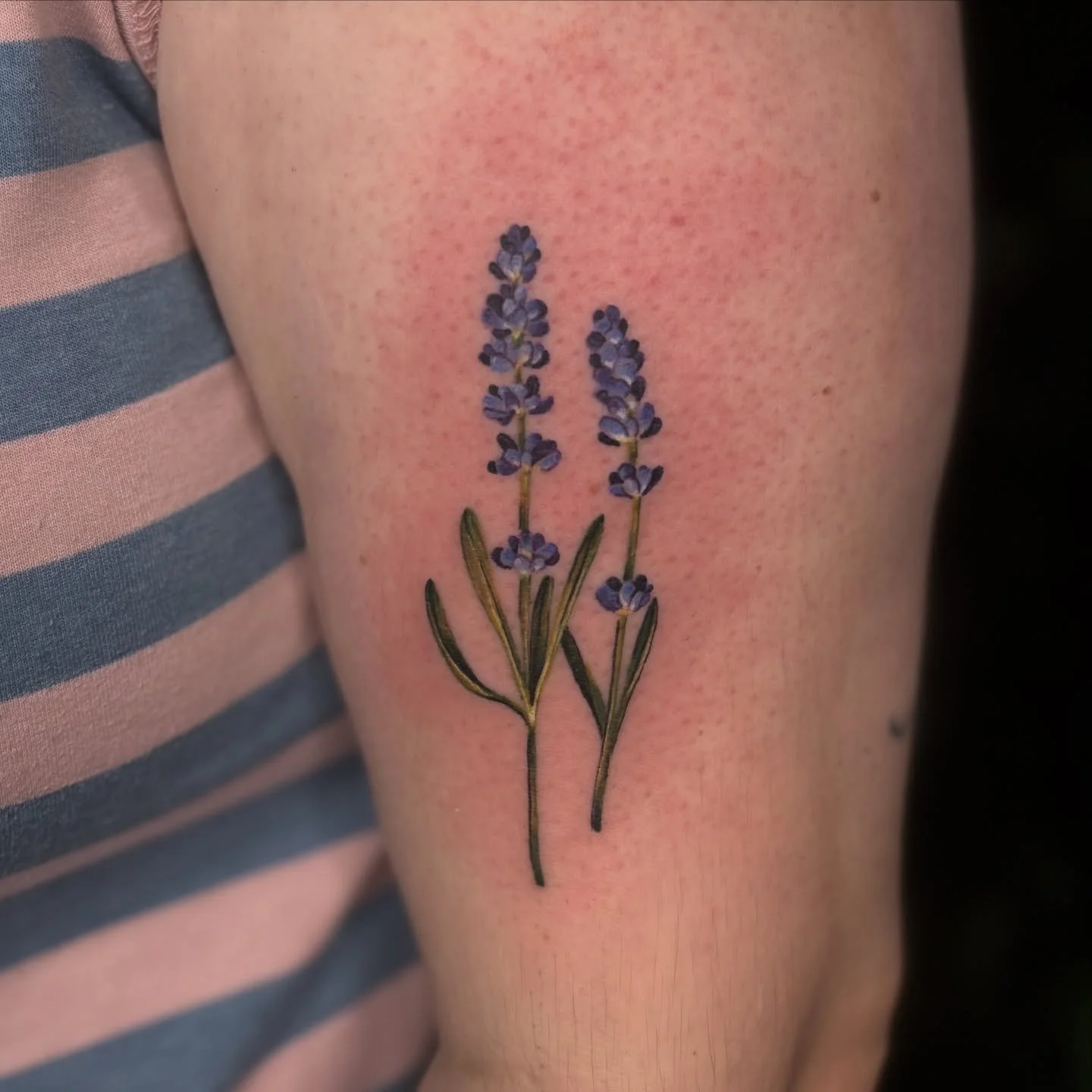 A few recent smaller ones, always happy to take on these kinds of projects ✷ ✹ ✶

#tattoo #smalltattoo #lavender #devontattoo #finelinetattoo