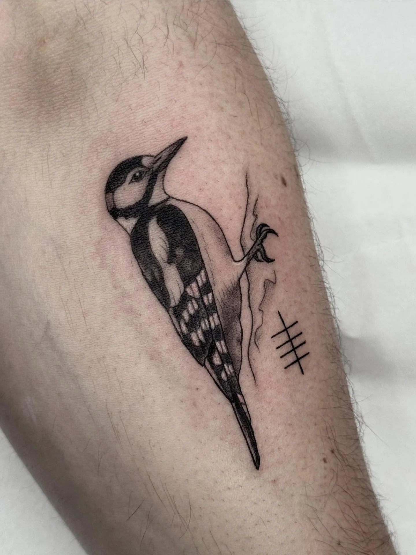 Got to tattoo this cute little great spotted woodpecker on a lovely lad today. Thanks Morgan!!! 

#tattoo #birdtattoo #femaletattooartist #tattoowork #tattooartists
