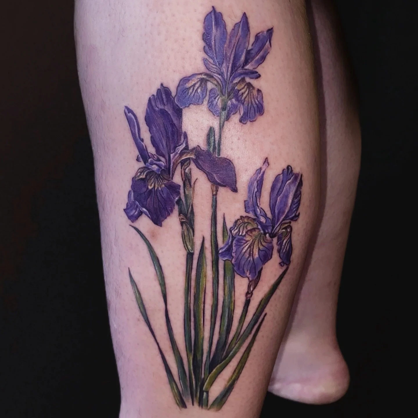 A handful I&rsquo;ve had a lot of fun working on 🌀

For tattoo appointments in February &amp; March, please send a direct message ✦✤✧

#colourtattoo #botanical #floraltattoo #iris #illustration