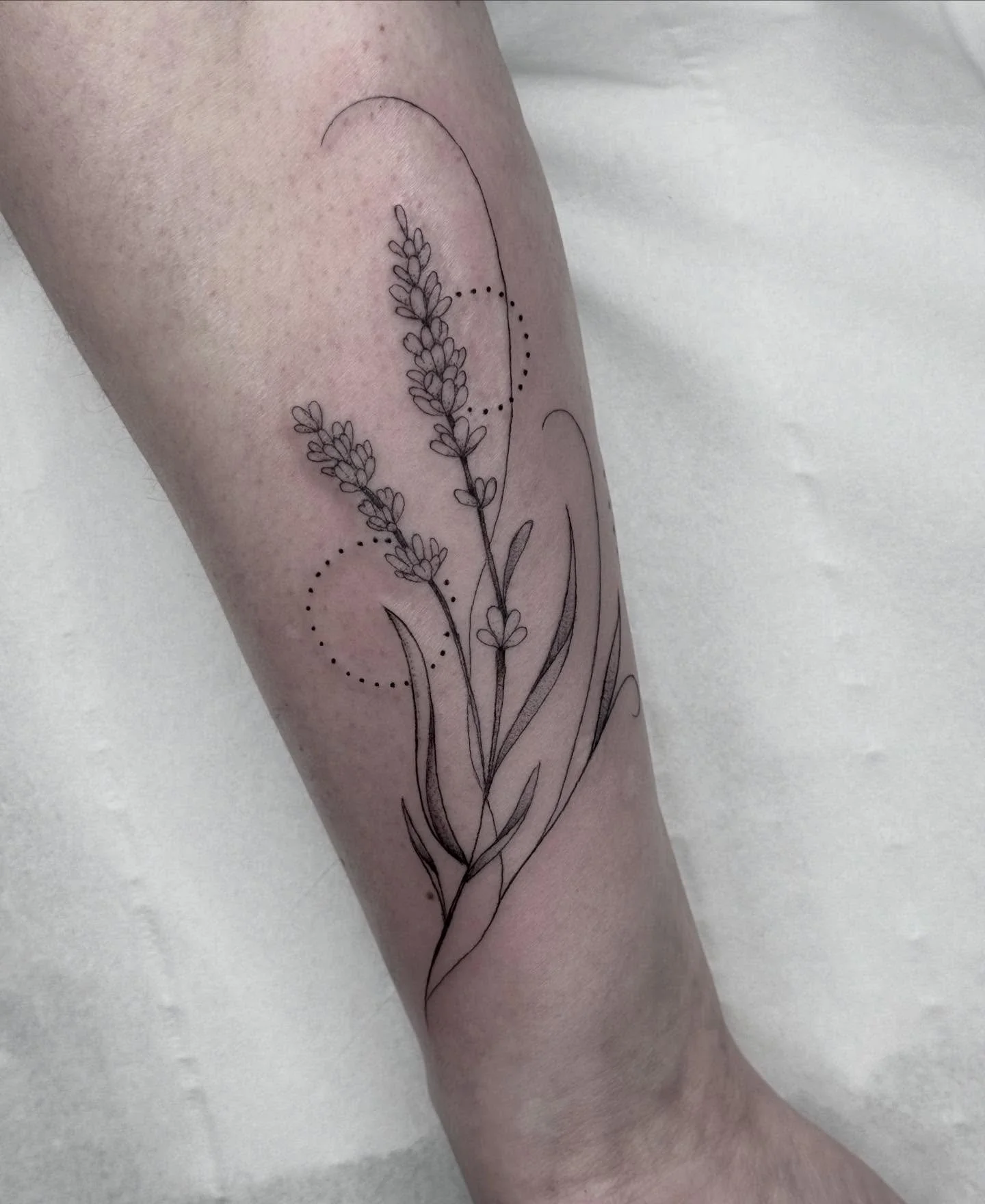 My day looked like this 🥰 

#tattoo #botanicaltattoos #fineline #robin #femaletattooist