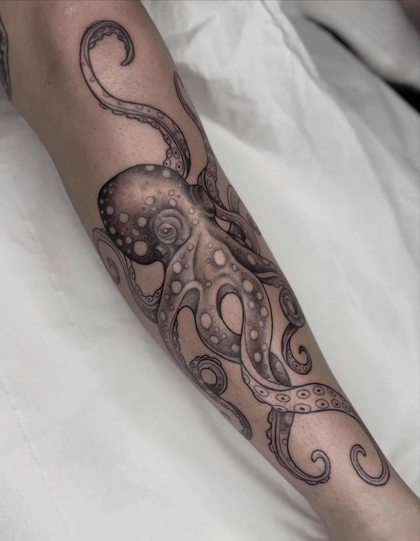 For the one and only, living legend that is @charlii.martin 💗 

#tattoo #ink #kraken #femaletattooist #uktattoo