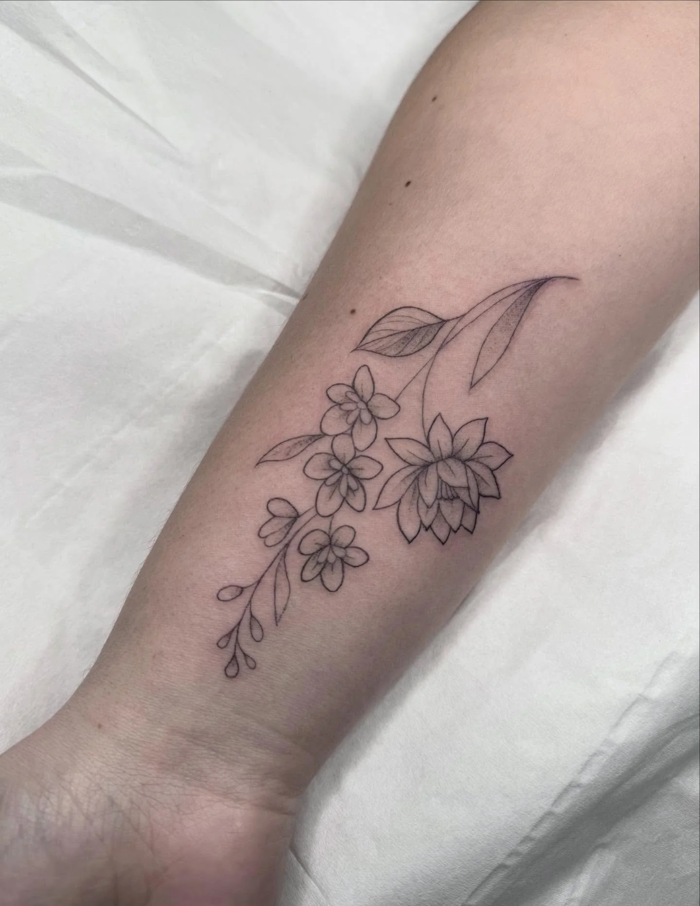 Cute floral from a few weeks ago 🥰 

#tattoo #botanicaltattoo #uktattooartist #femaletattooartist #finelinetattoo