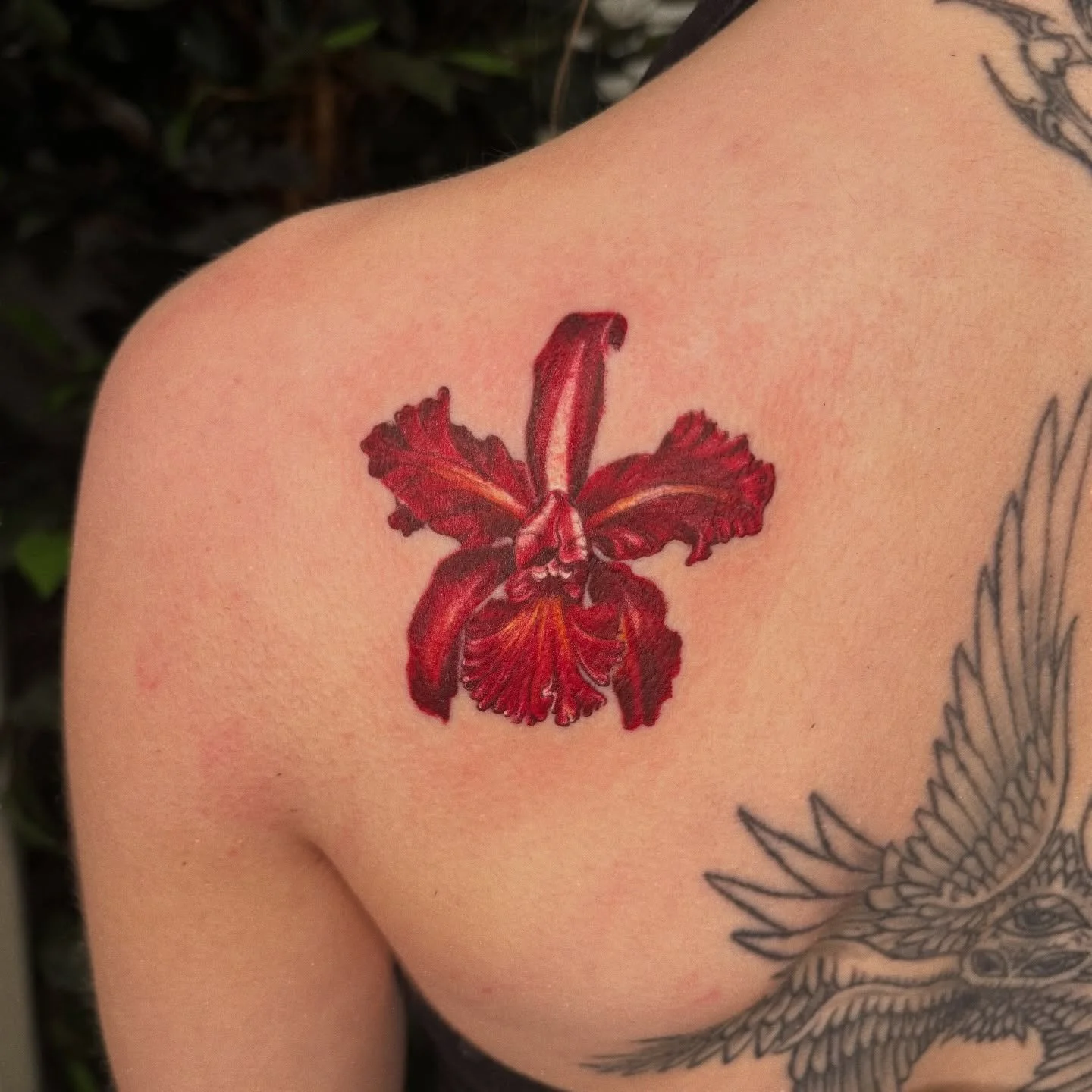 A handful of orchids from my orchid flash day ⊹✺⊹

Thank you so much to everybody who came and got an orchid! I loved doing this and am already thinking about what flower day I could do next ∾

#orchid #orchidtattoo #flowertattoo