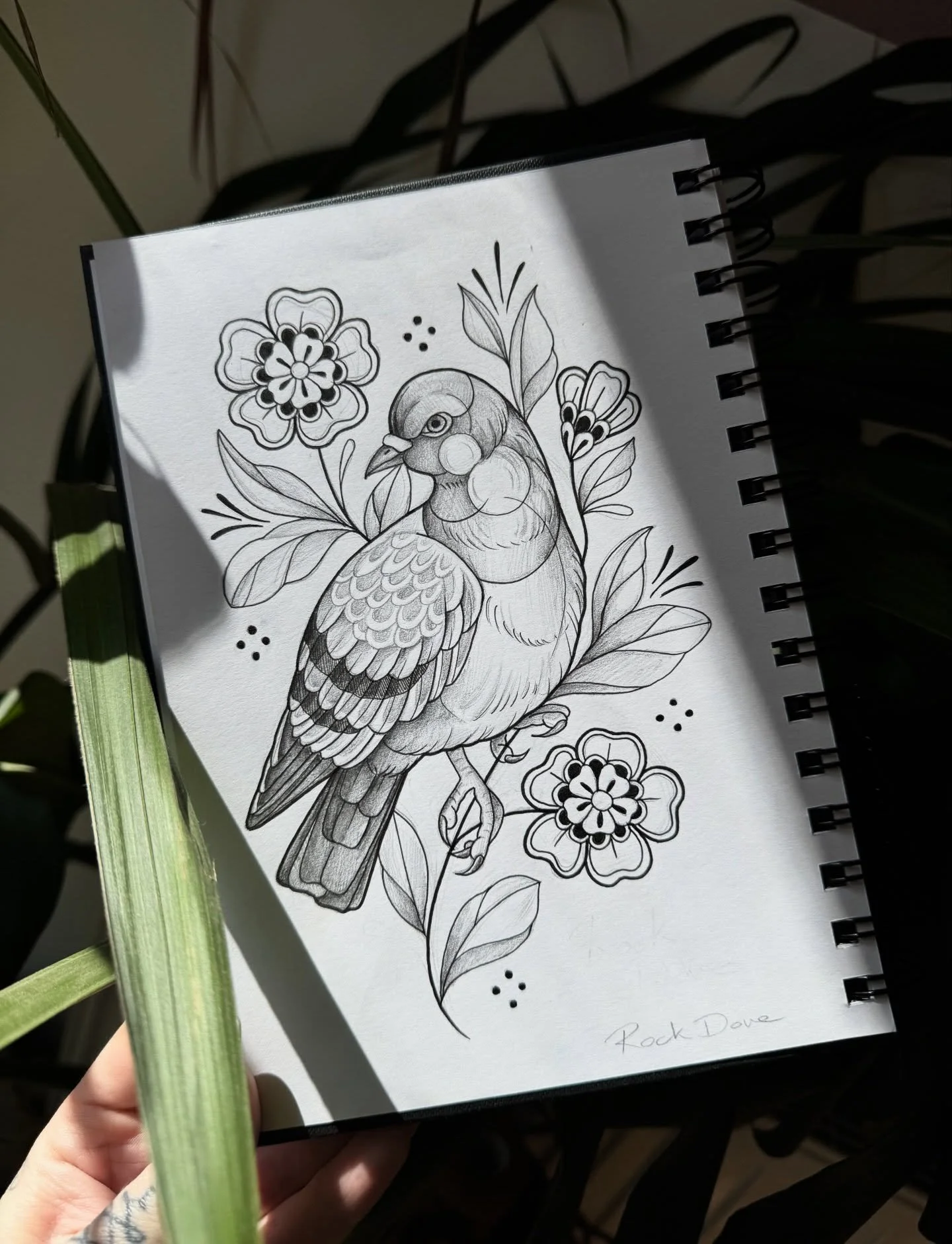 -// AVAILABLE \\- 🌿 🐦 

Rock Dove - Aka feral pigeon! 

Going to back to drawing in a sketchbook with some tatty old pencils and pens feels glorious. 

Message me if you want him on your body forever 💗🌿 

#pigeon #pigeontattoo #tattooart #tattooa