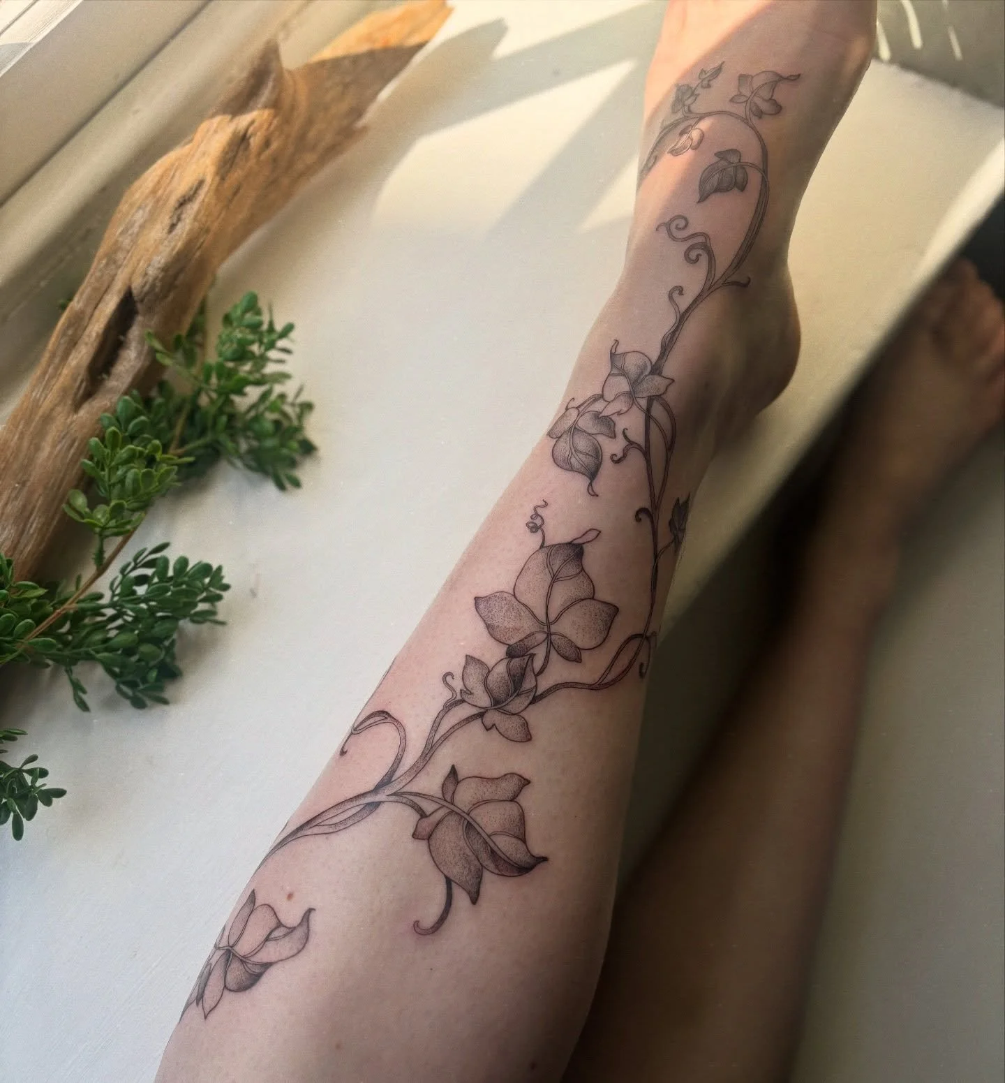Freehand ivy vine for Nari, I love how much unruly ivy suits this wrapping lower leg placement 🌿🍃

#freehandtattoo #ivytattoo #botanicaltattoo #whimsical