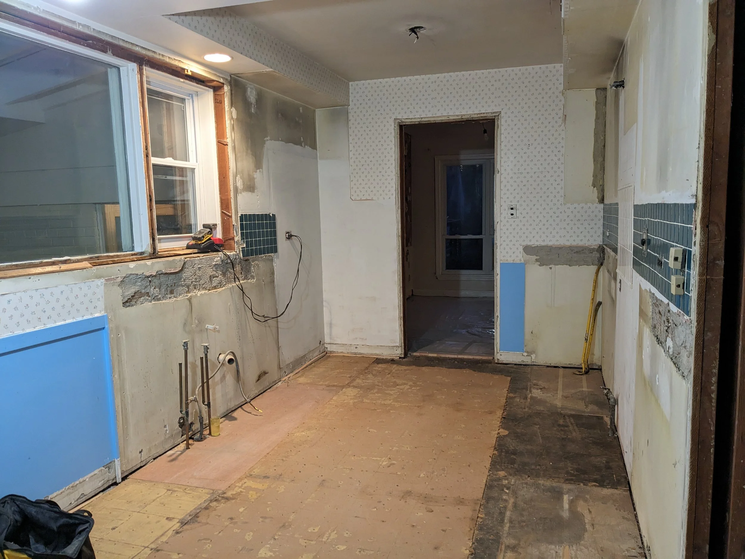 Demo Kitchen Remodeling 1.jpg