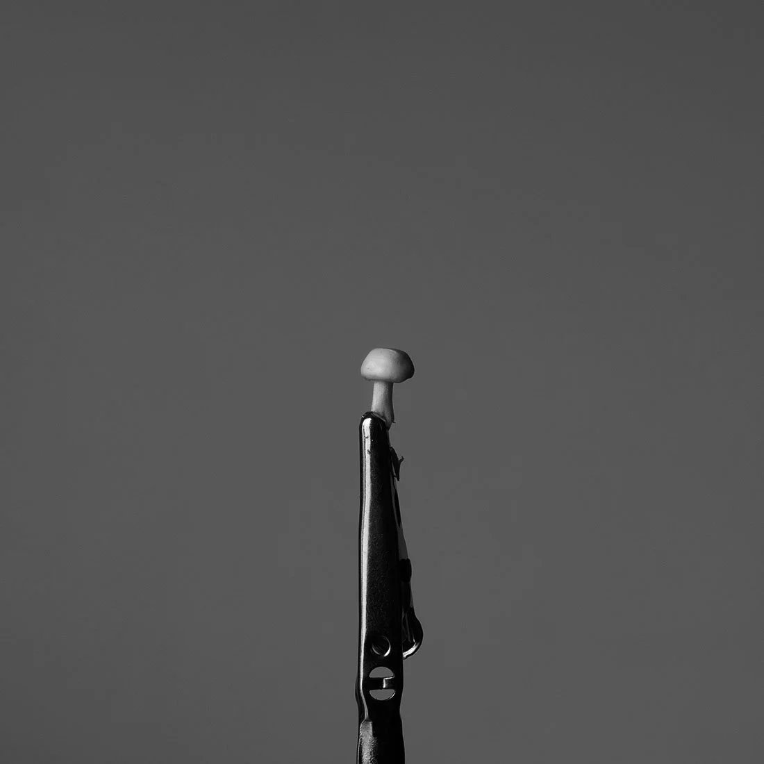S1020680.jpg