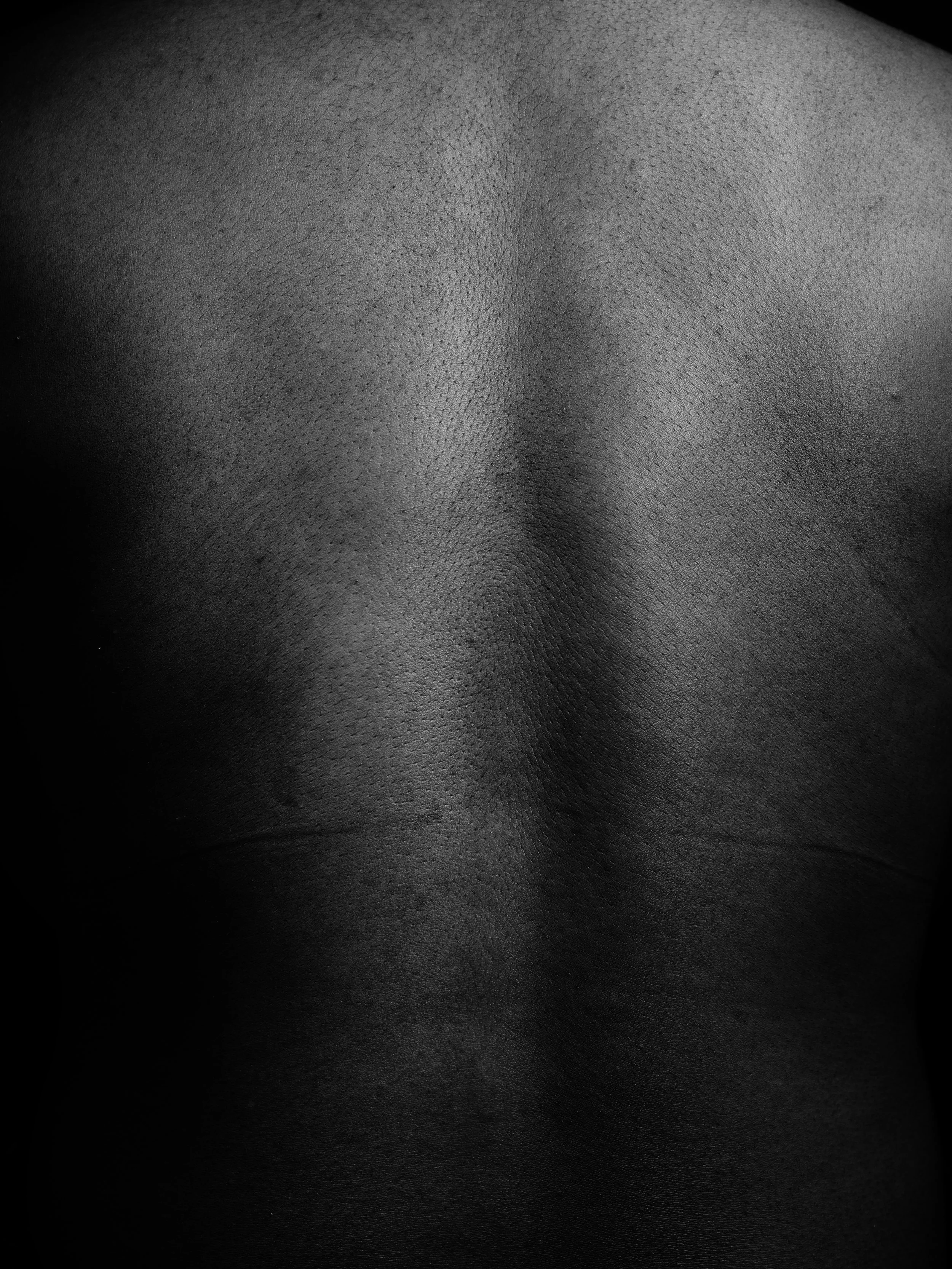 Liv B0038438.jpg