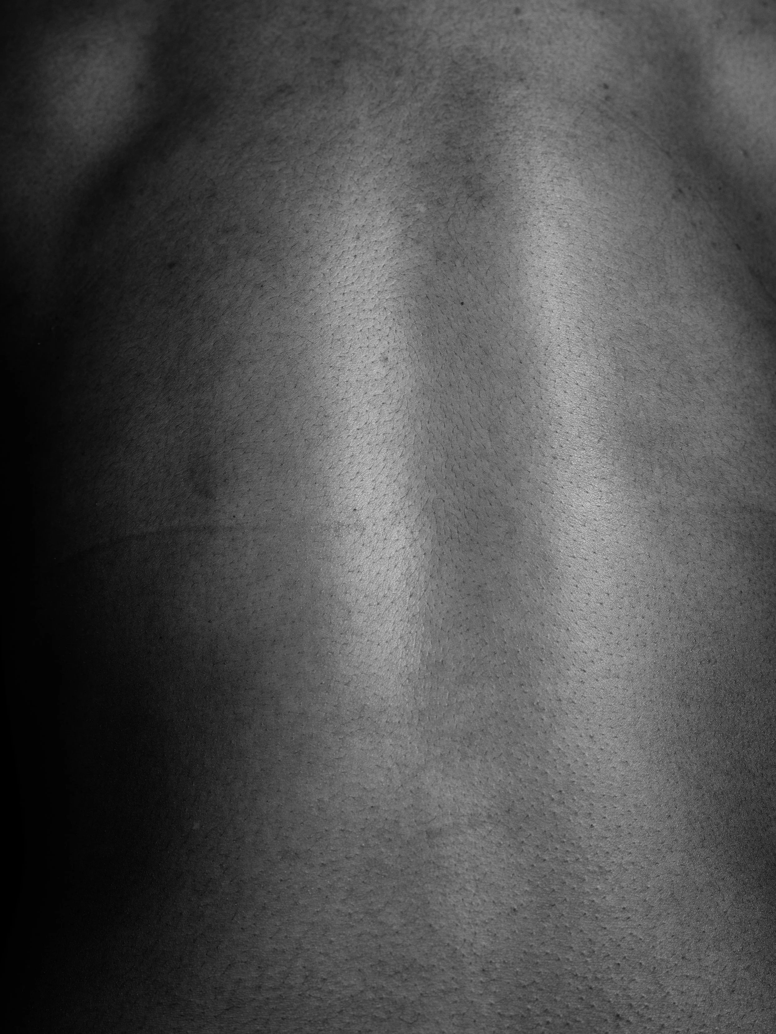 Liv B0038450.jpg