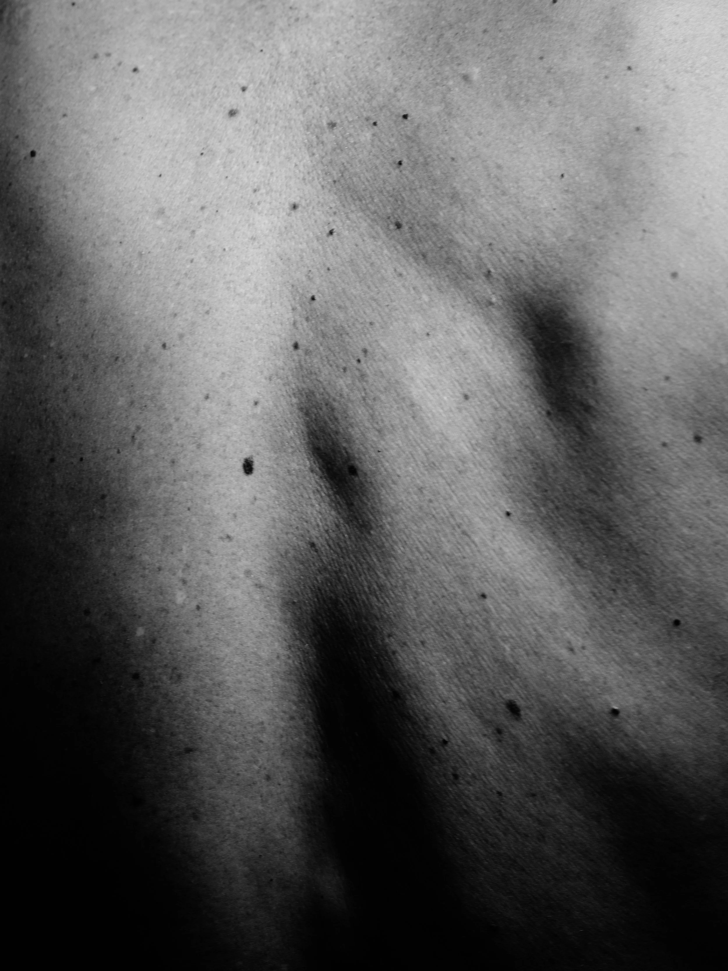 Craig B0038883.jpg