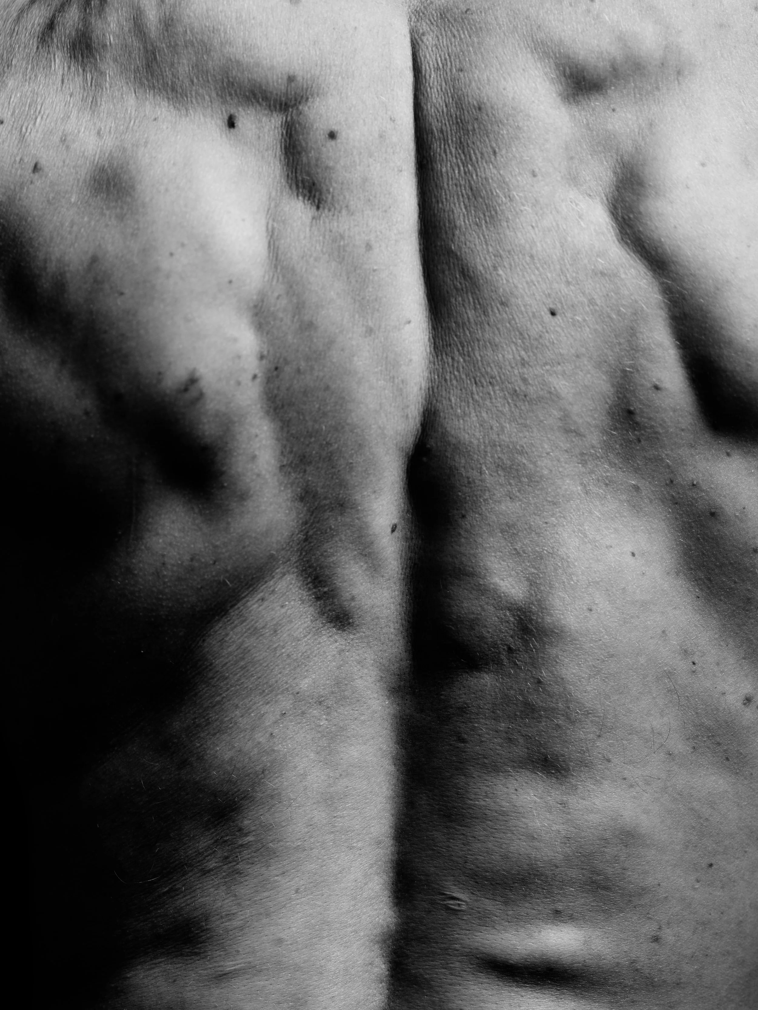 Tom B0038089.jpg