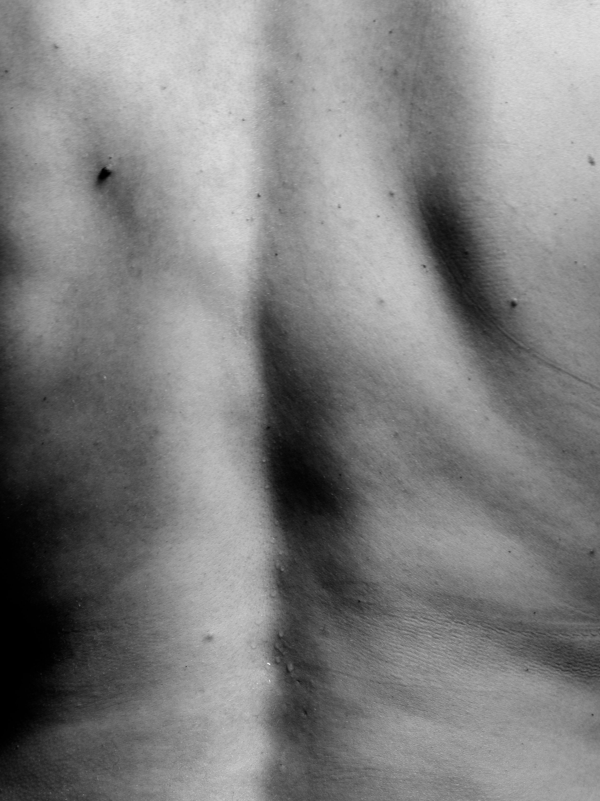 Ari B0037983.jpg