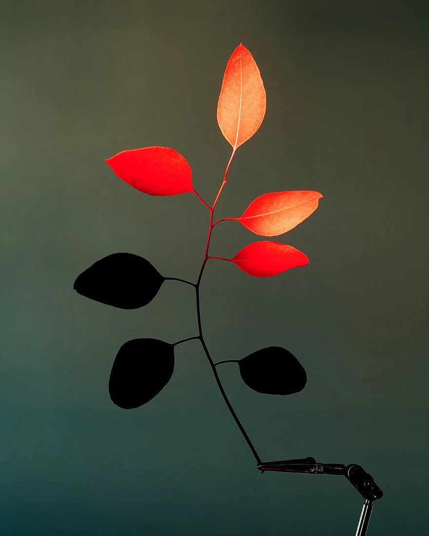 S1820380.jpg