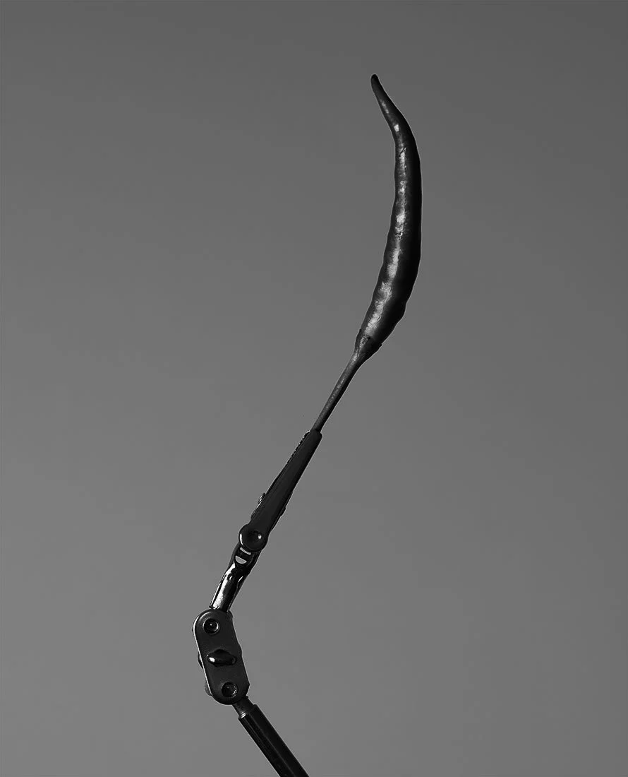S1190687.jpg