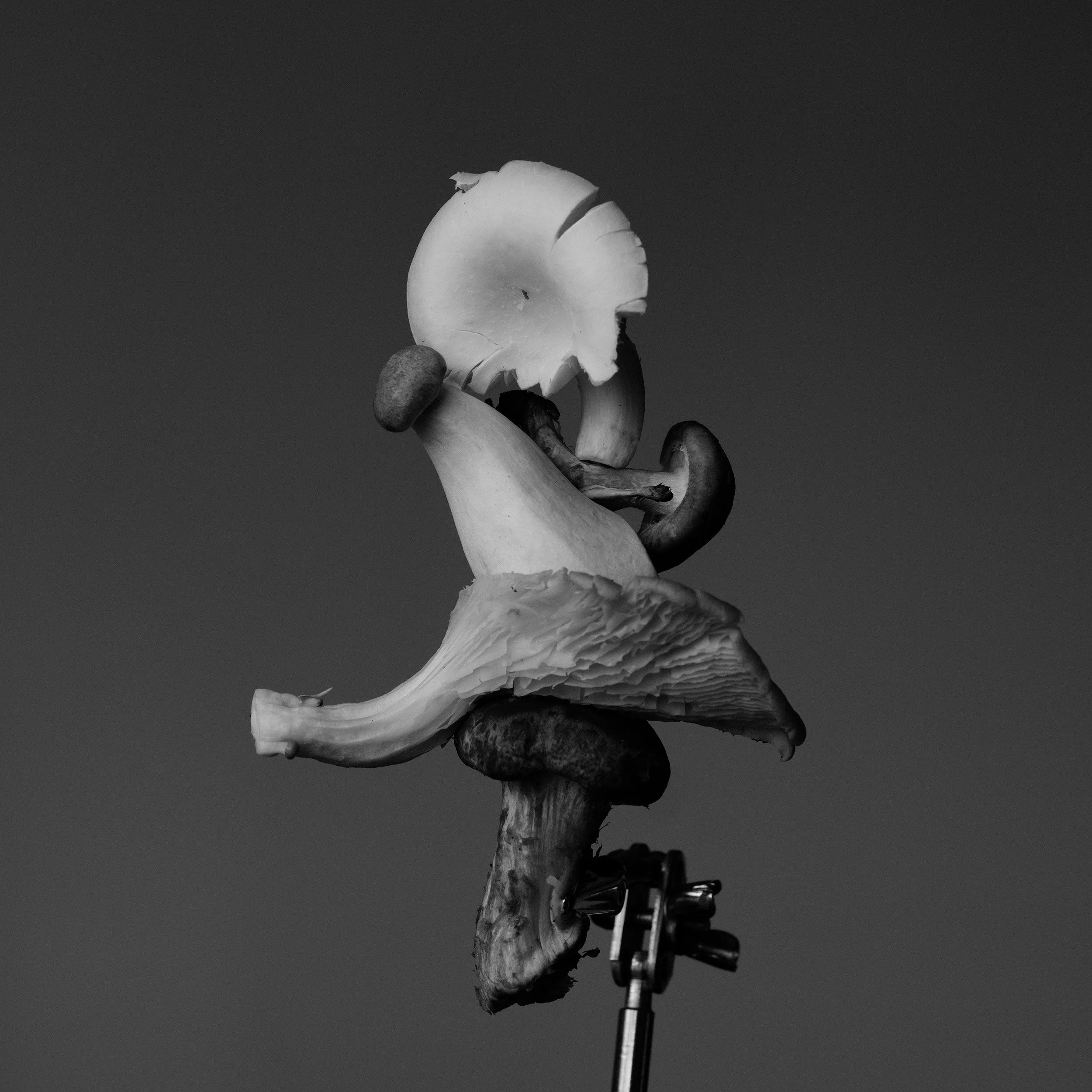S1000641.jpg