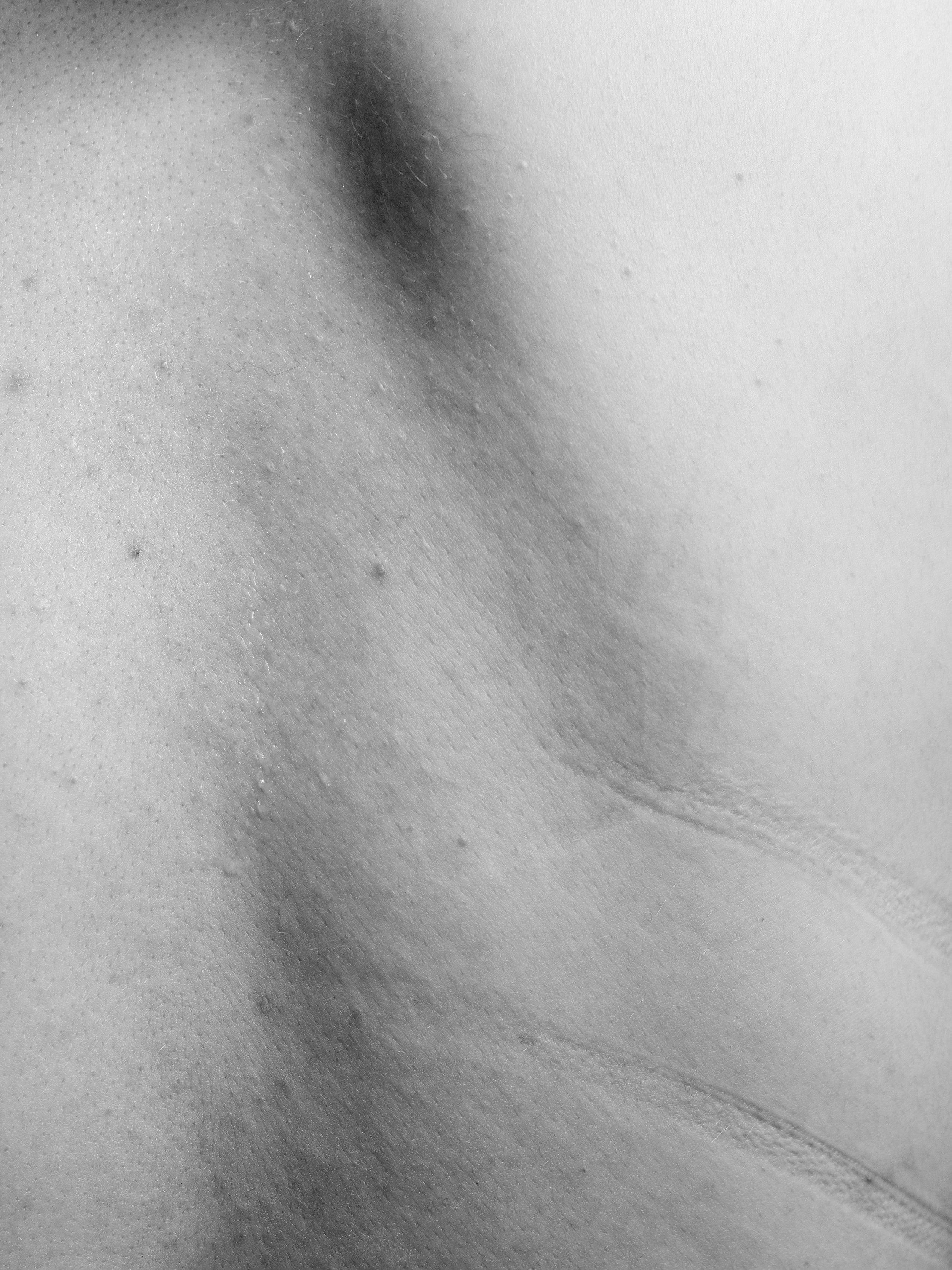 Lena B0038244.jpg