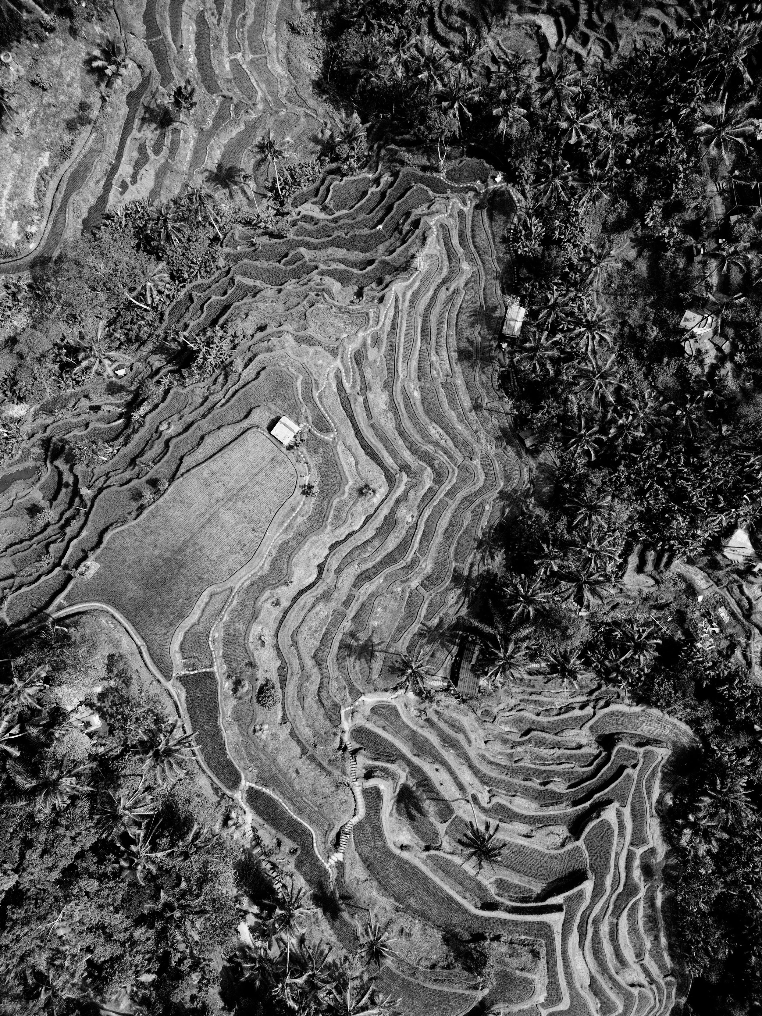 DJI_0151.jpg