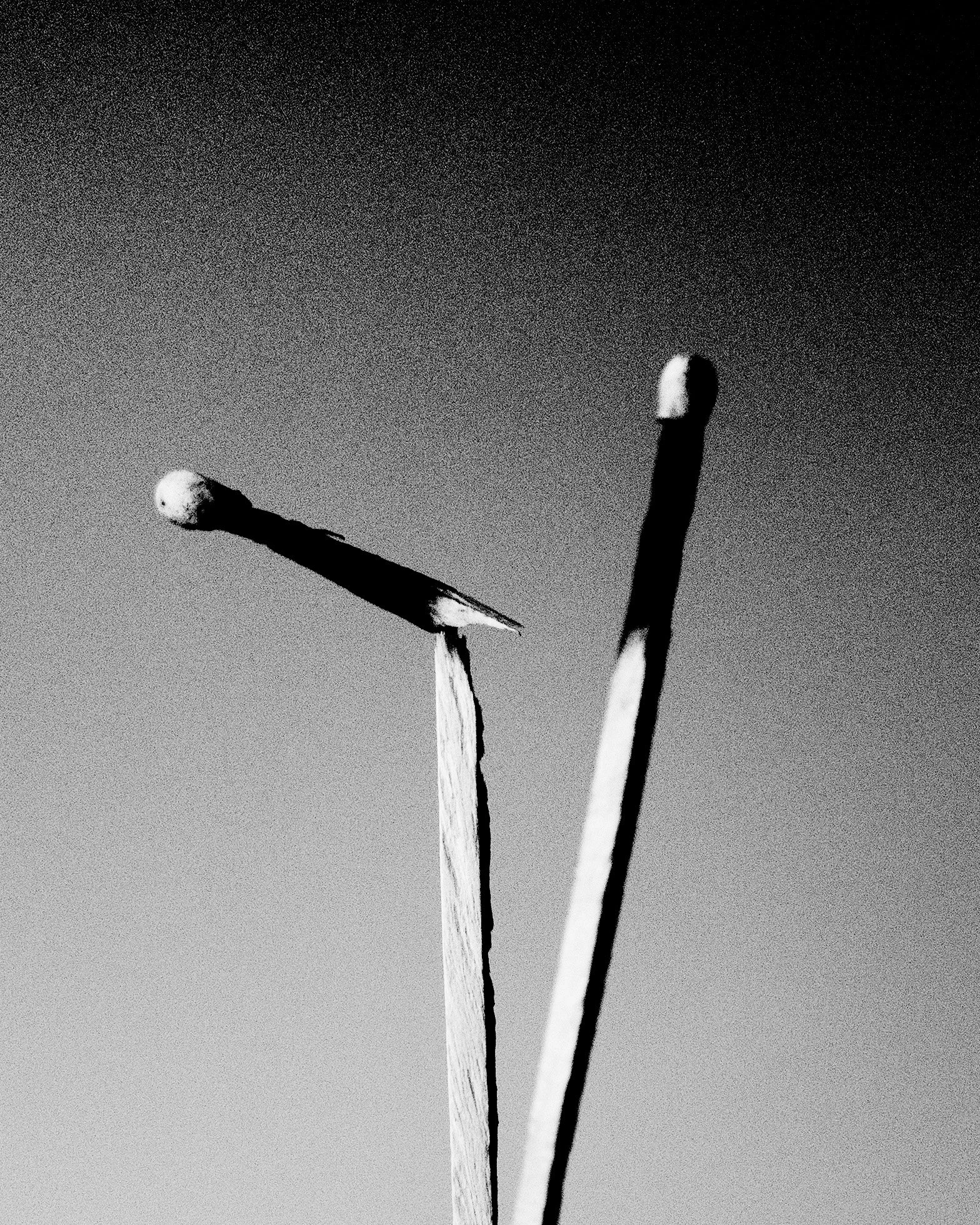 Fine art still life photograph by Chris Mann