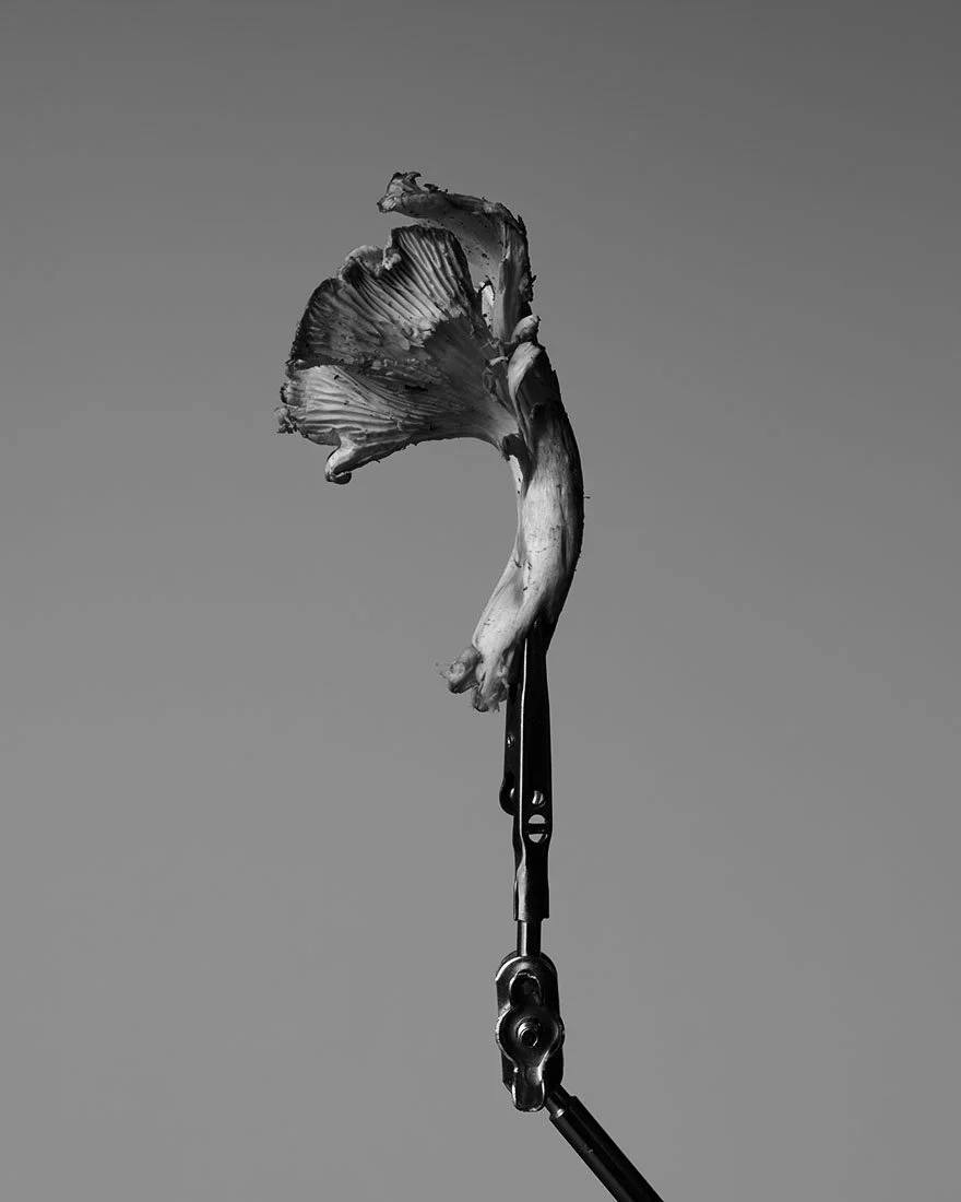 S1020618.jpg