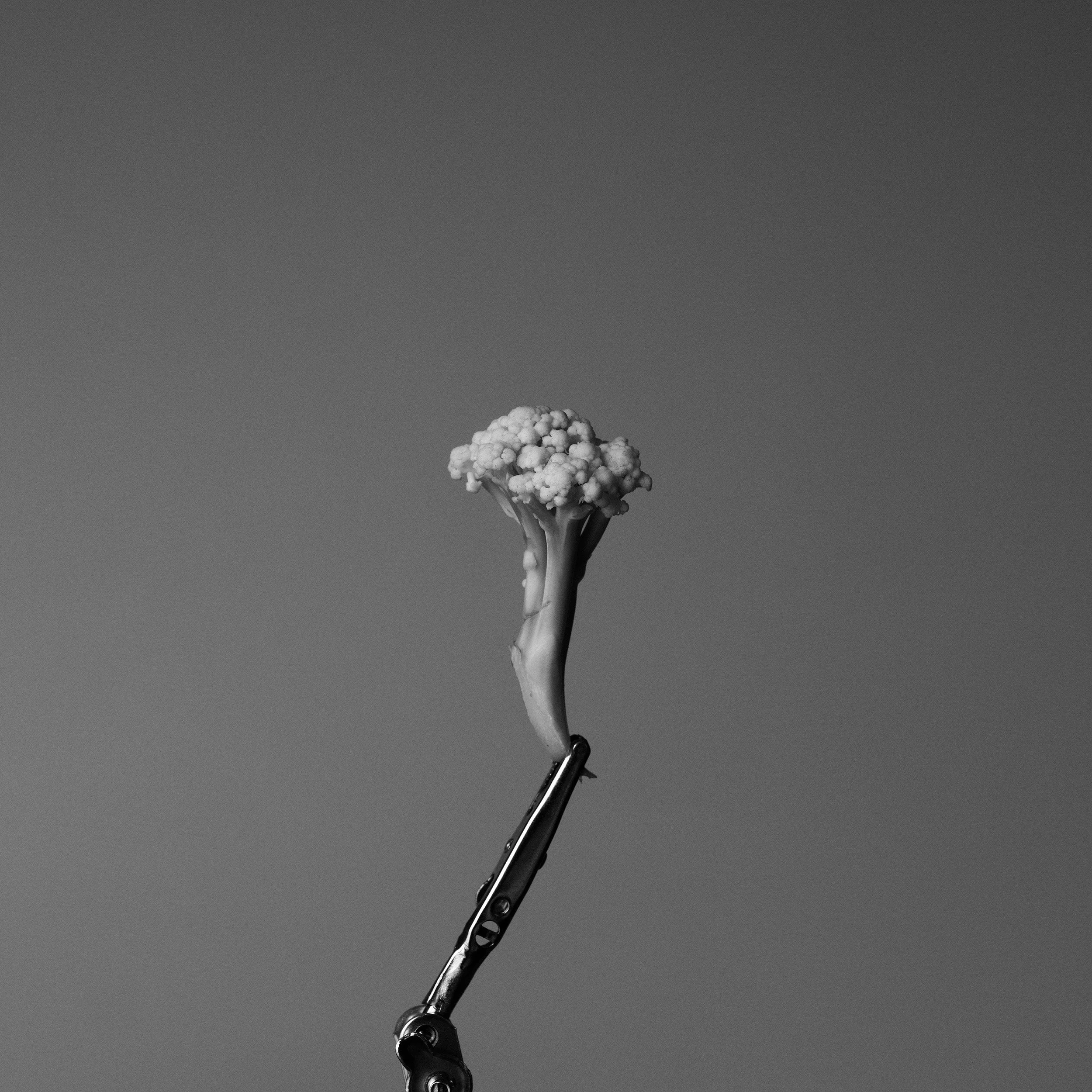 S1060194.jpg