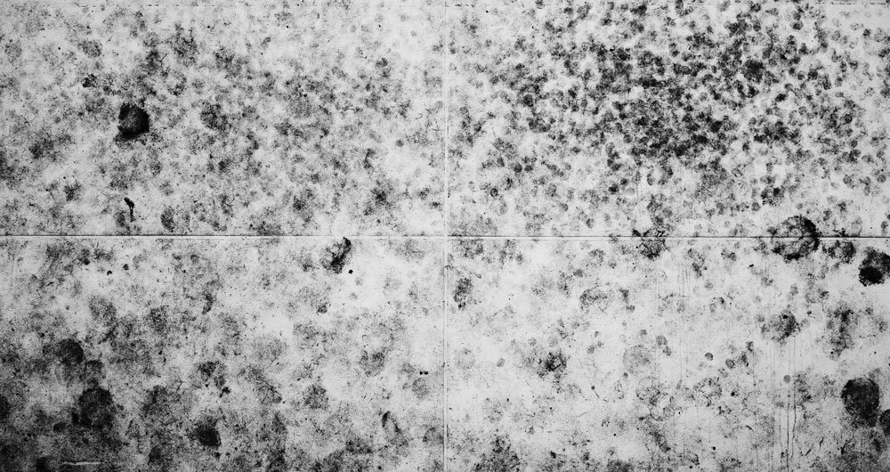 LM107082.jpg