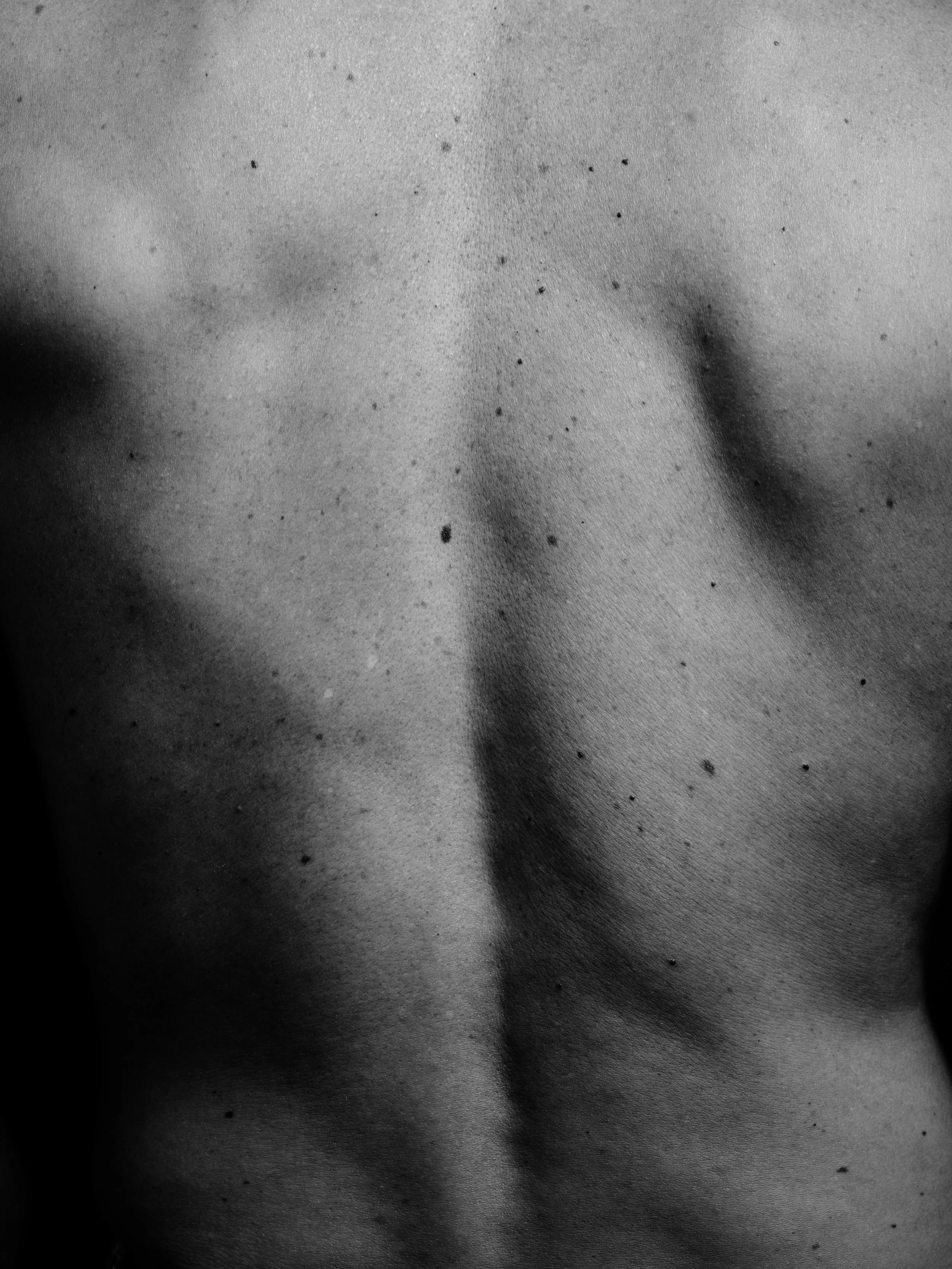 Craig B0038961.jpg