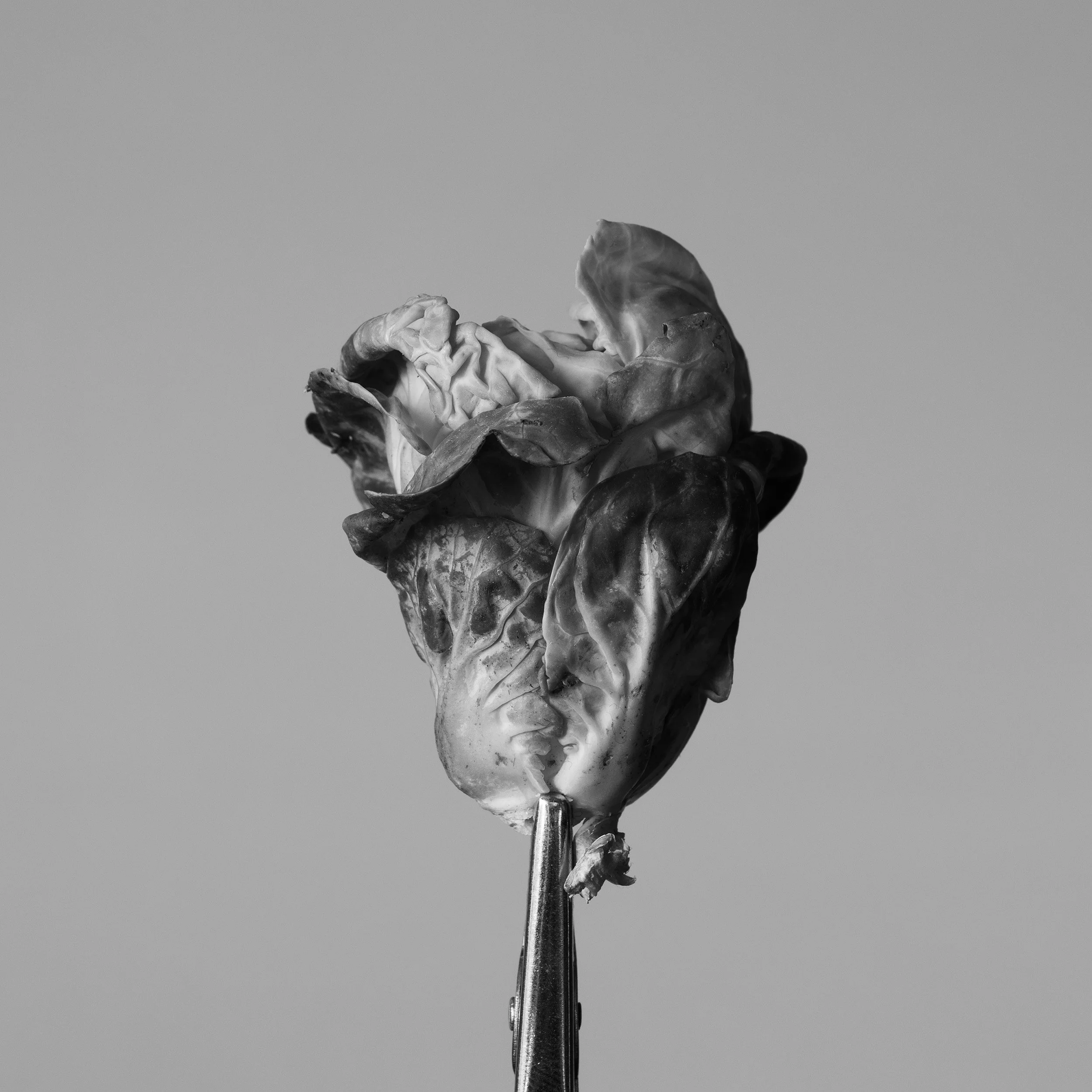 S1000068.jpg