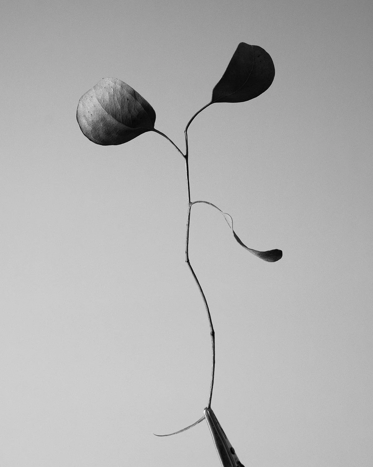 S2400220.jpg
