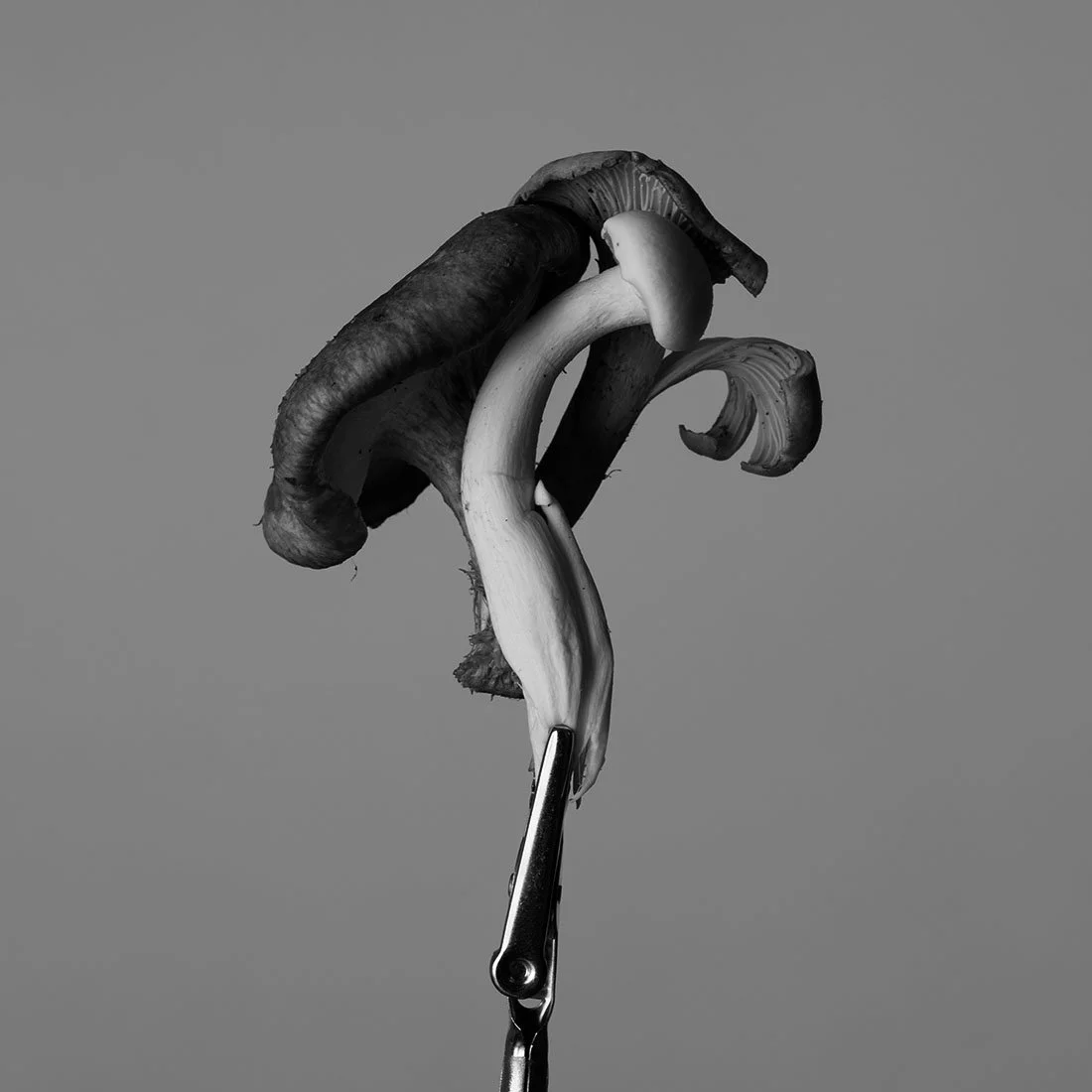 S1020716.jpg