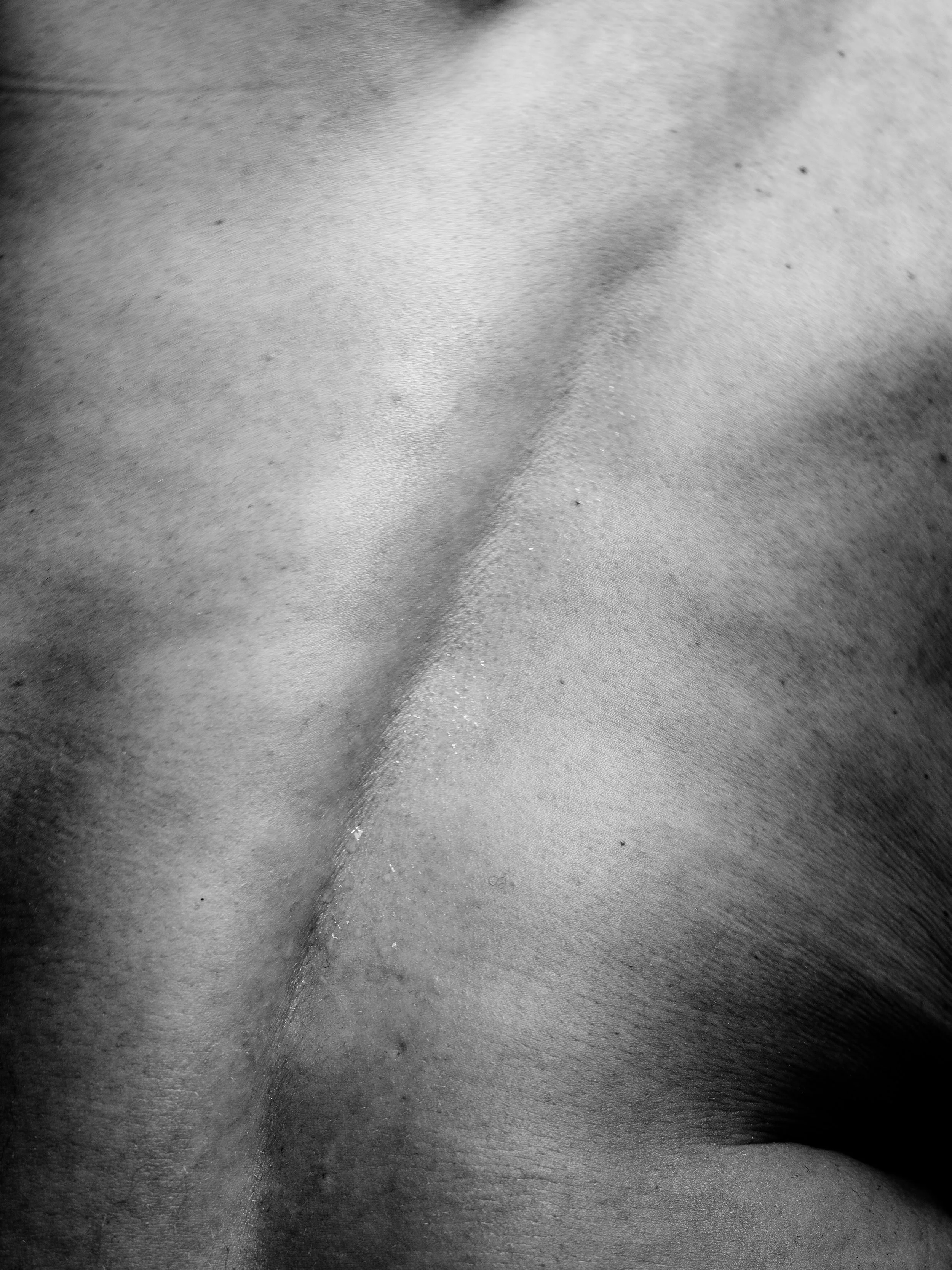 Ari B0037994.jpg