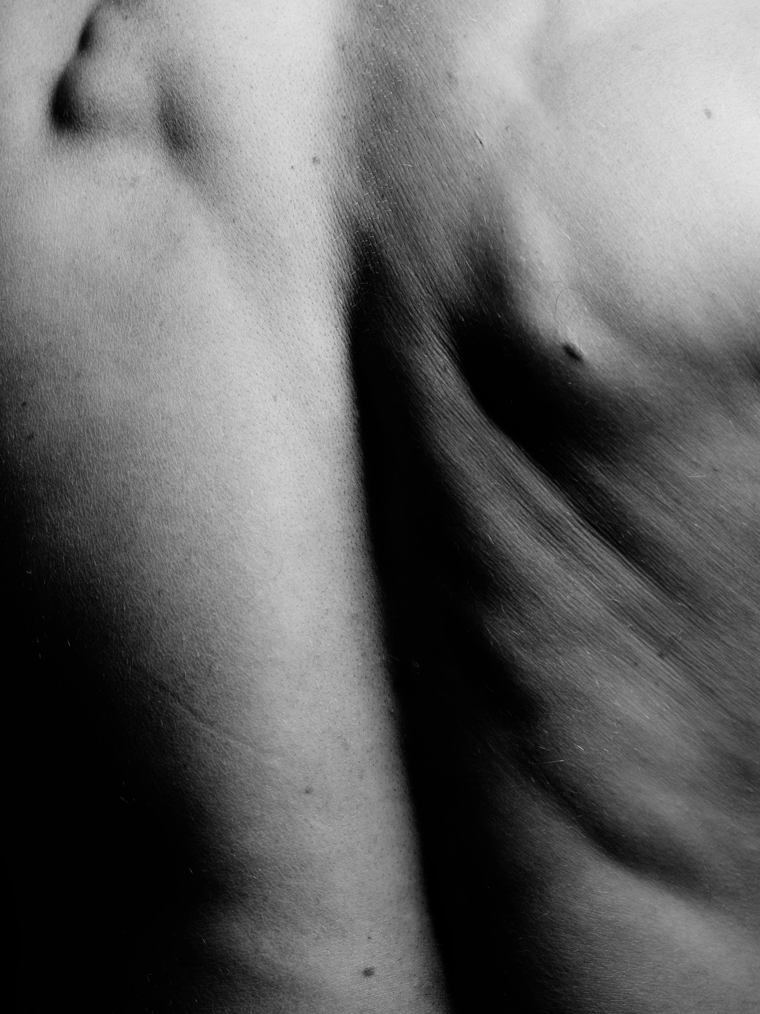 Tim B0038649.jpg