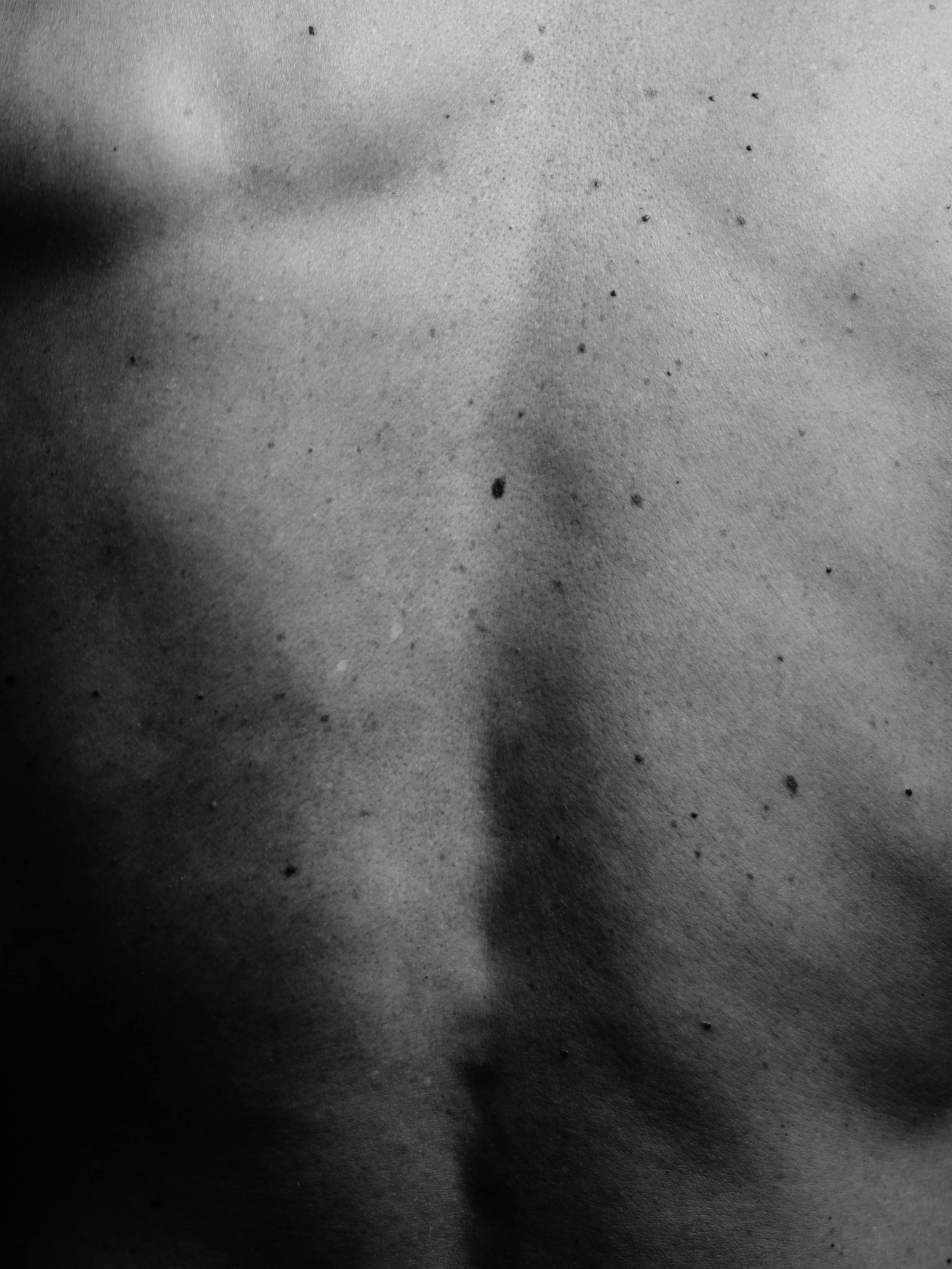 Craig B0038968.jpg