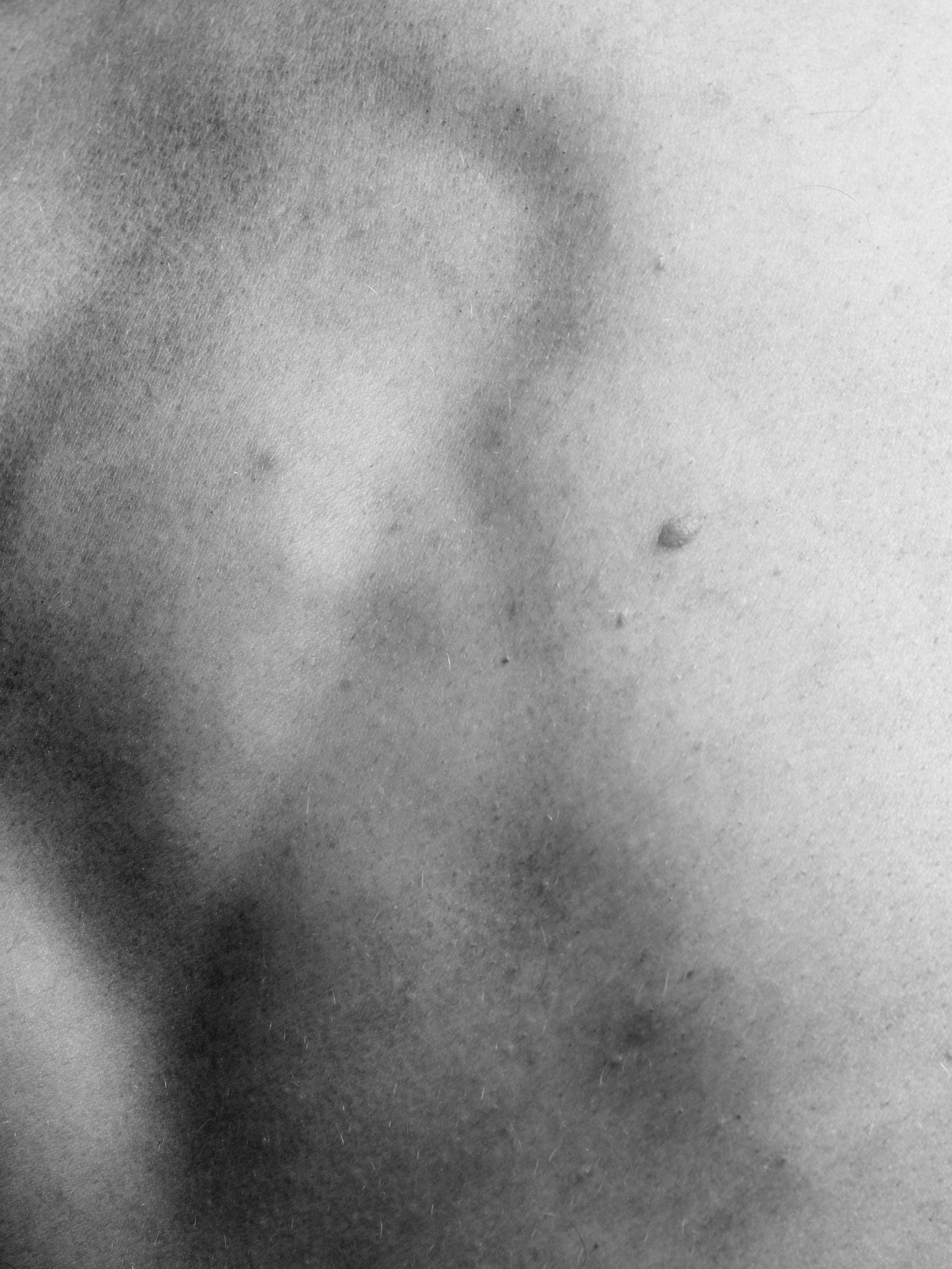 Tim B0038707.jpg