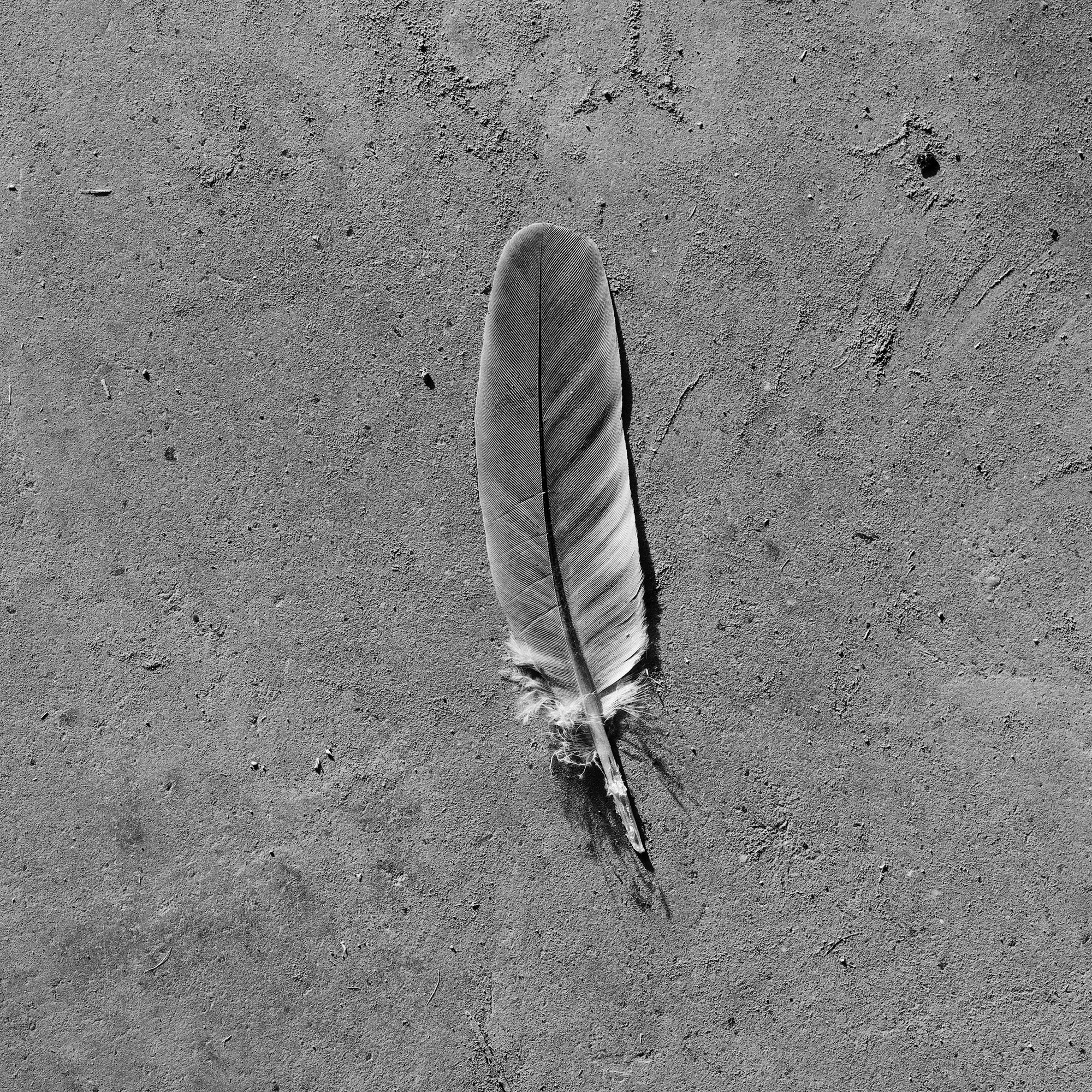 B0016648.jpg