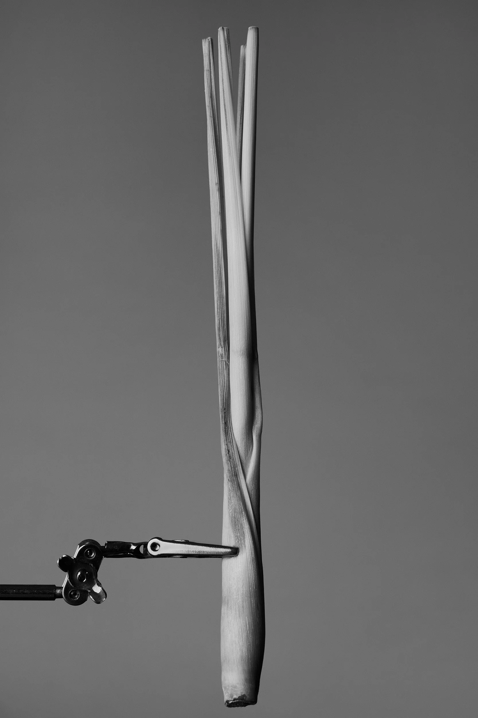 S1020590.jpg