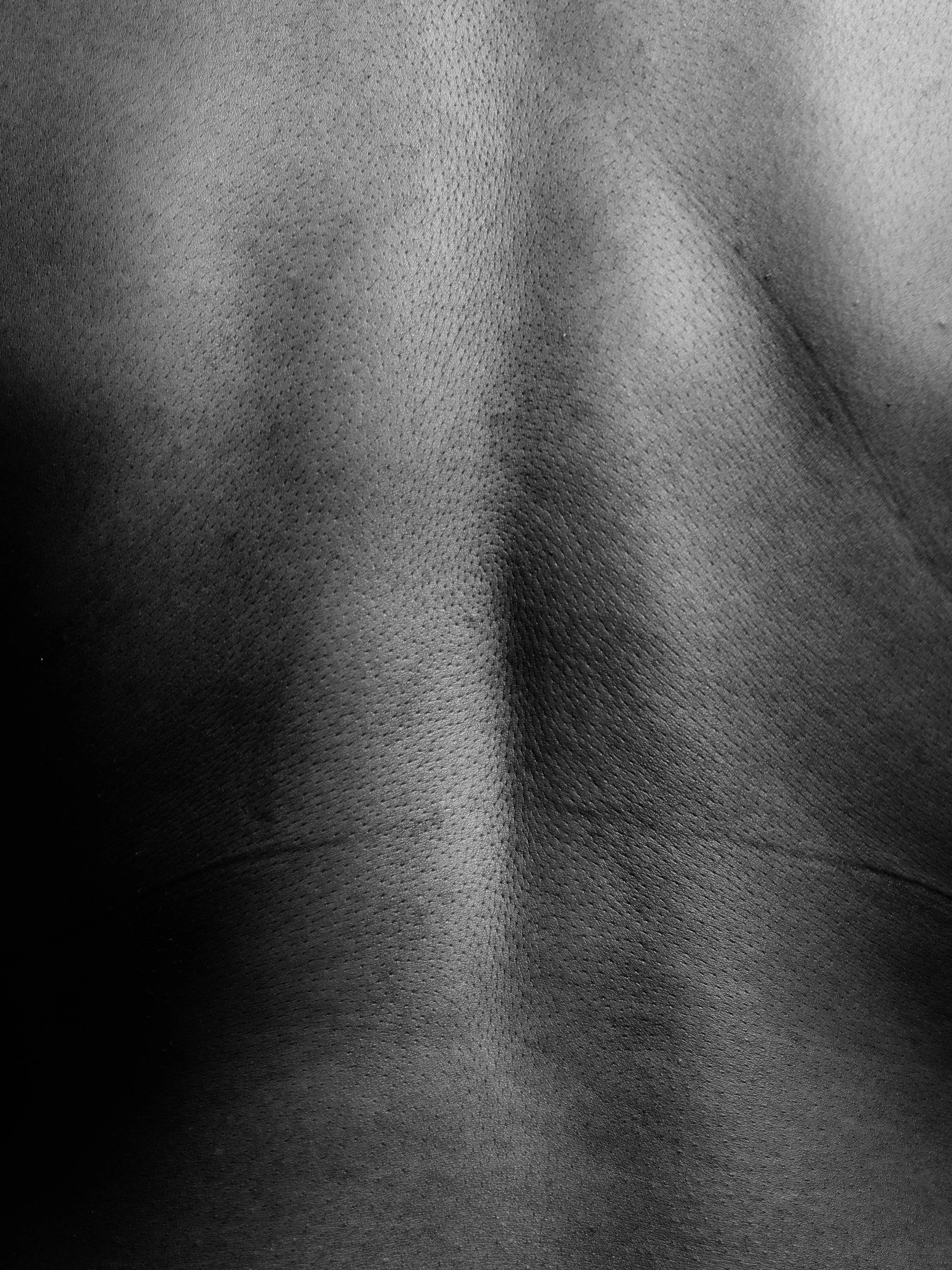 Liv B0038371.jpg