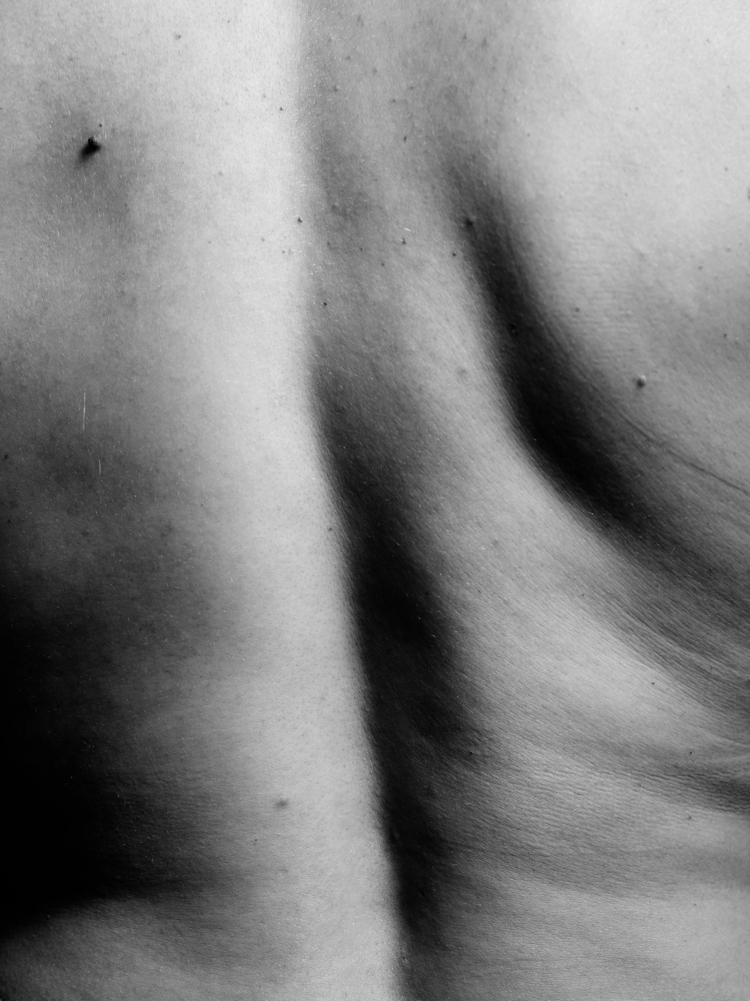 Ari B0038013.jpg