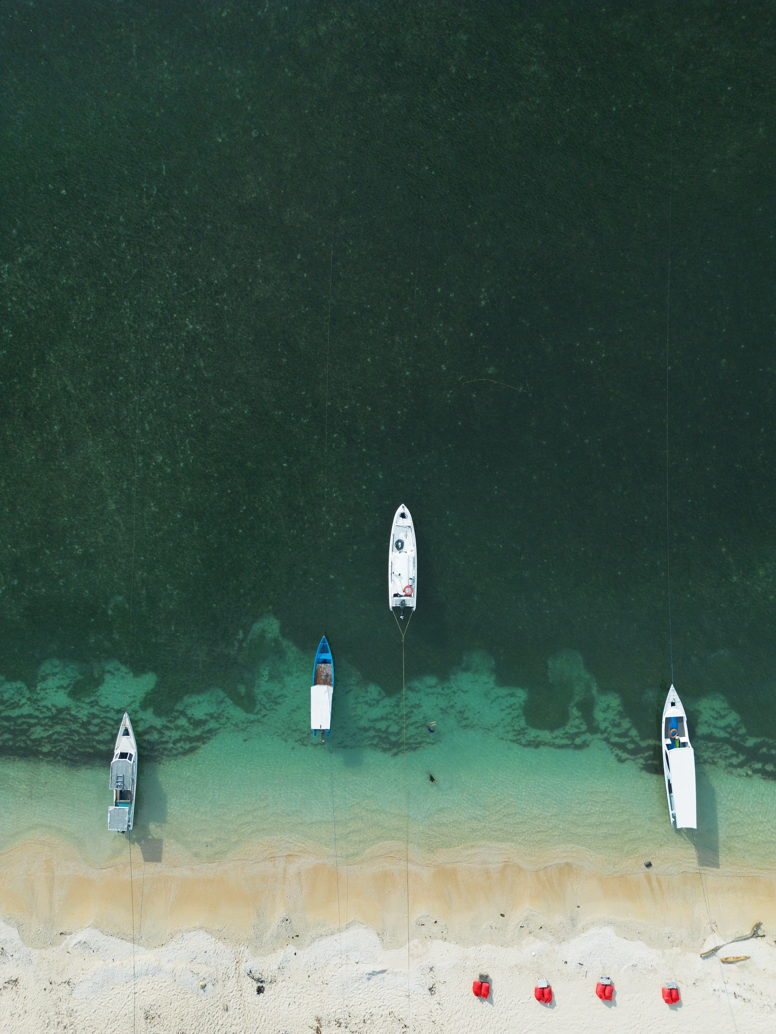 DJI_0303.jpg