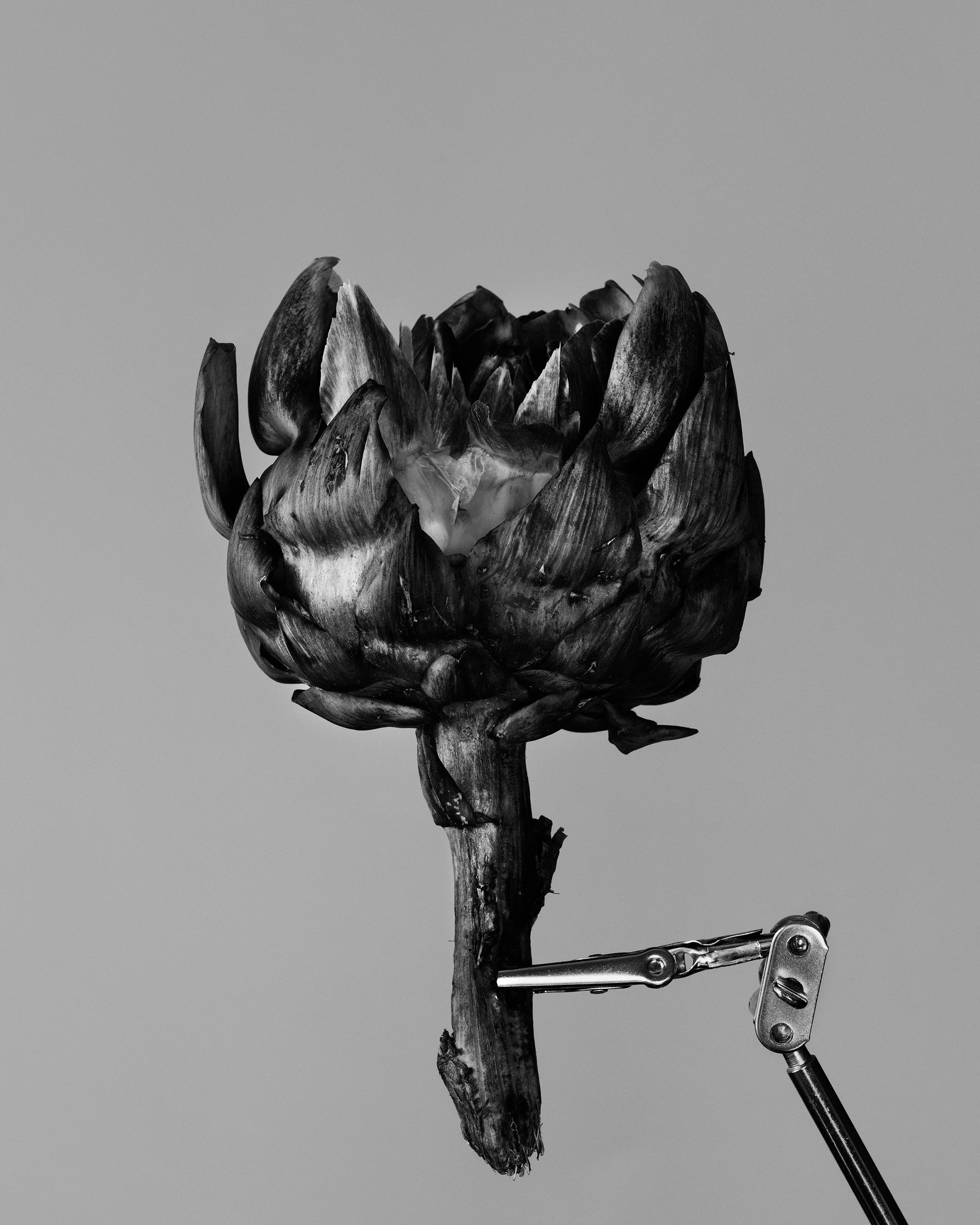 S1050614.jpg