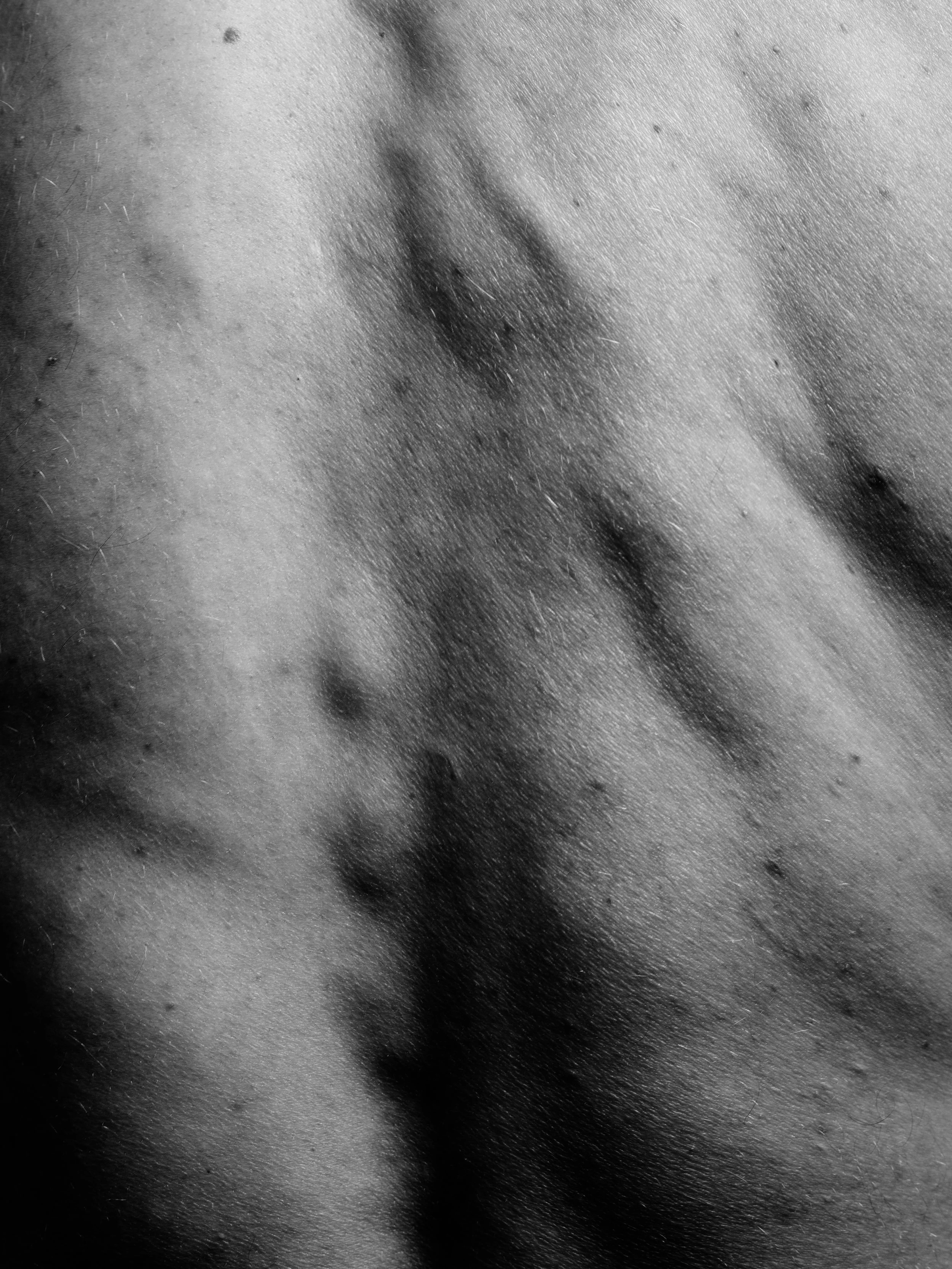 Tom B0038200.jpg