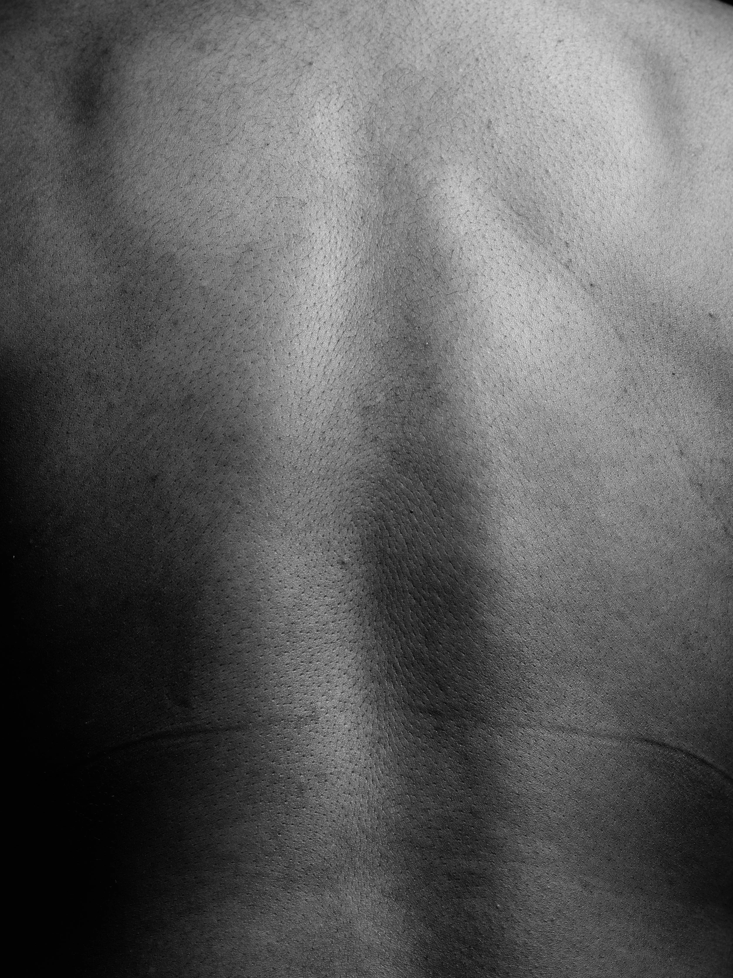 Liv B0038370.jpg