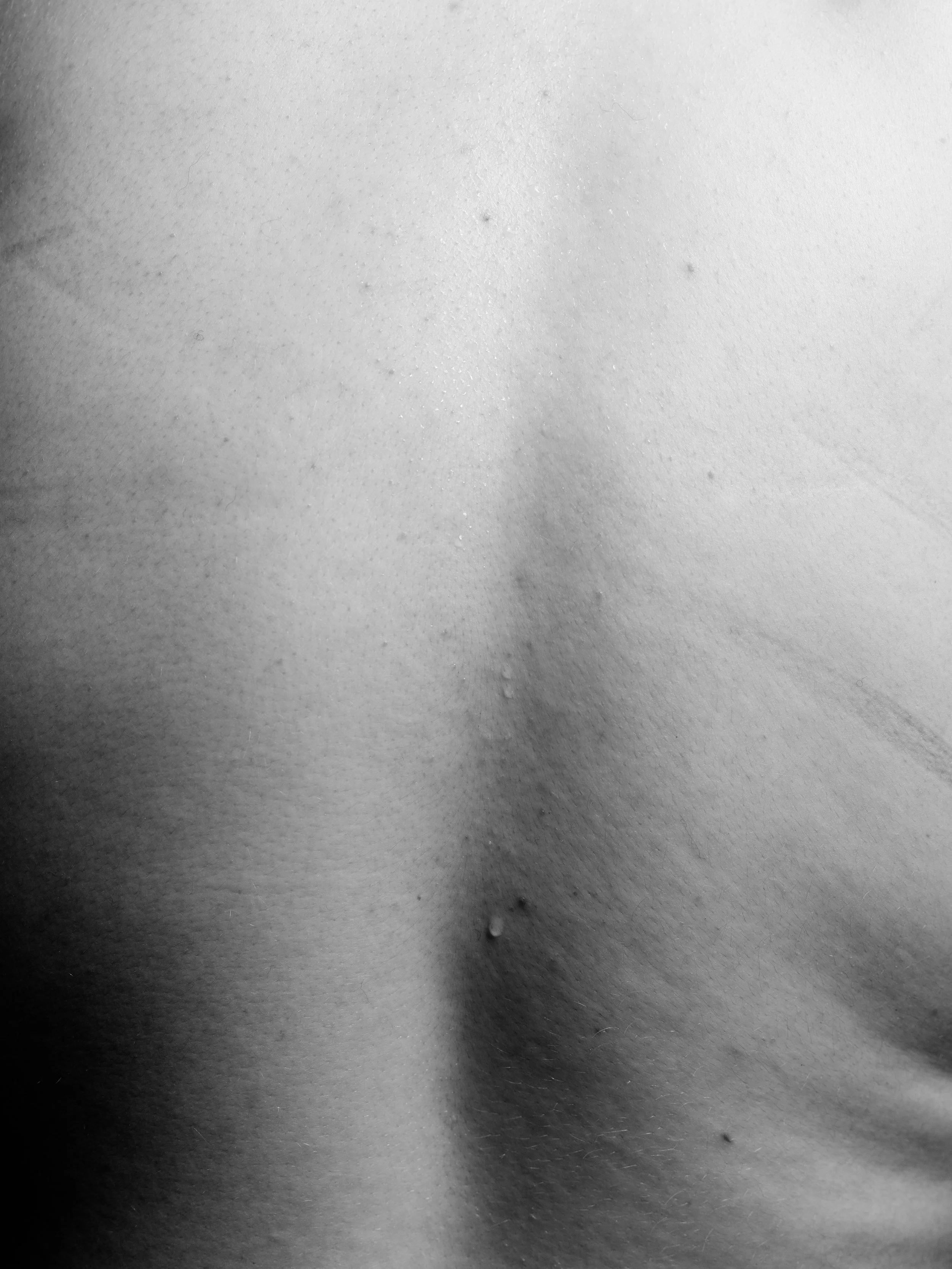 Lena B0038353.jpg