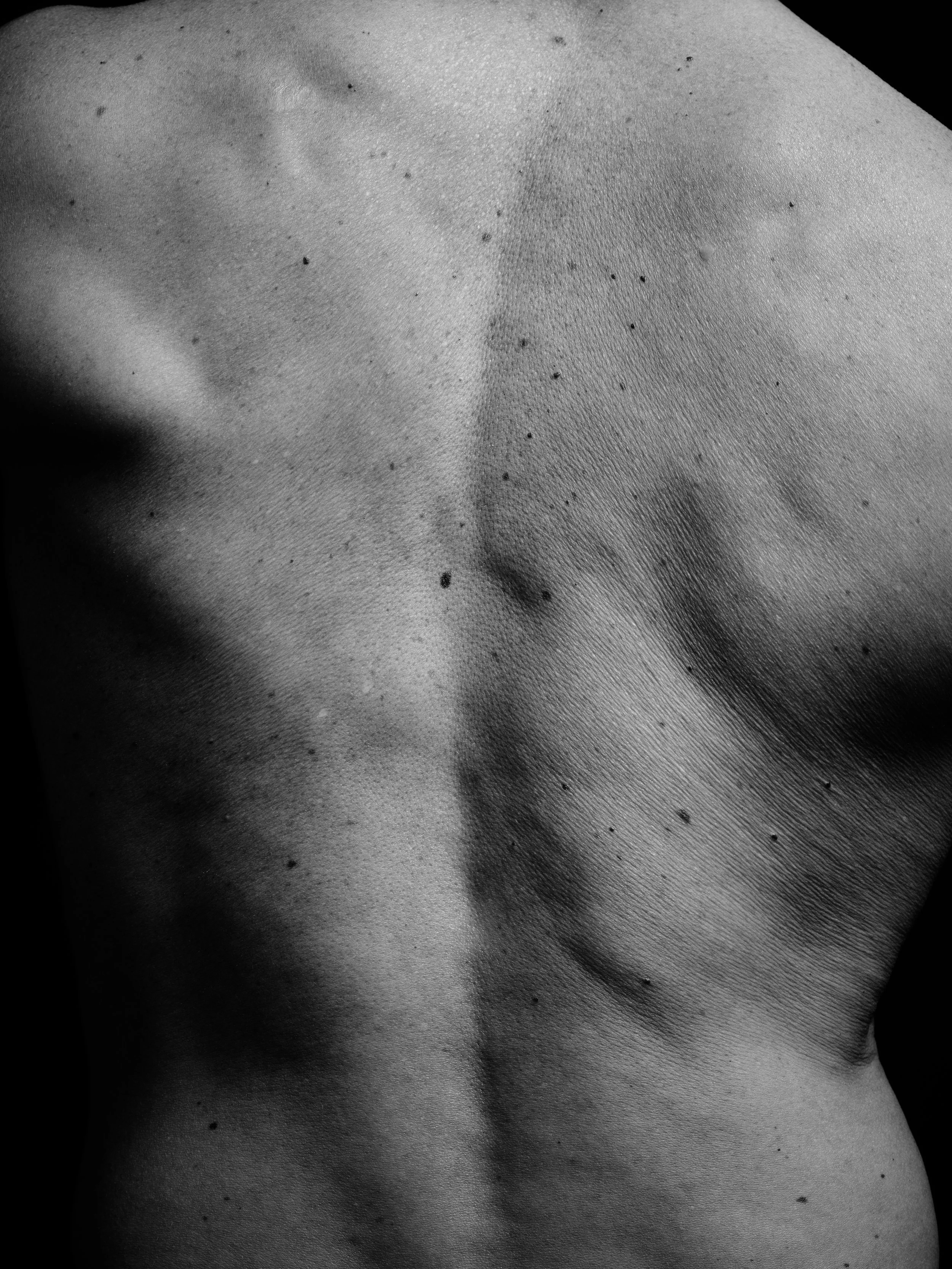 Craig B0038952.jpg
