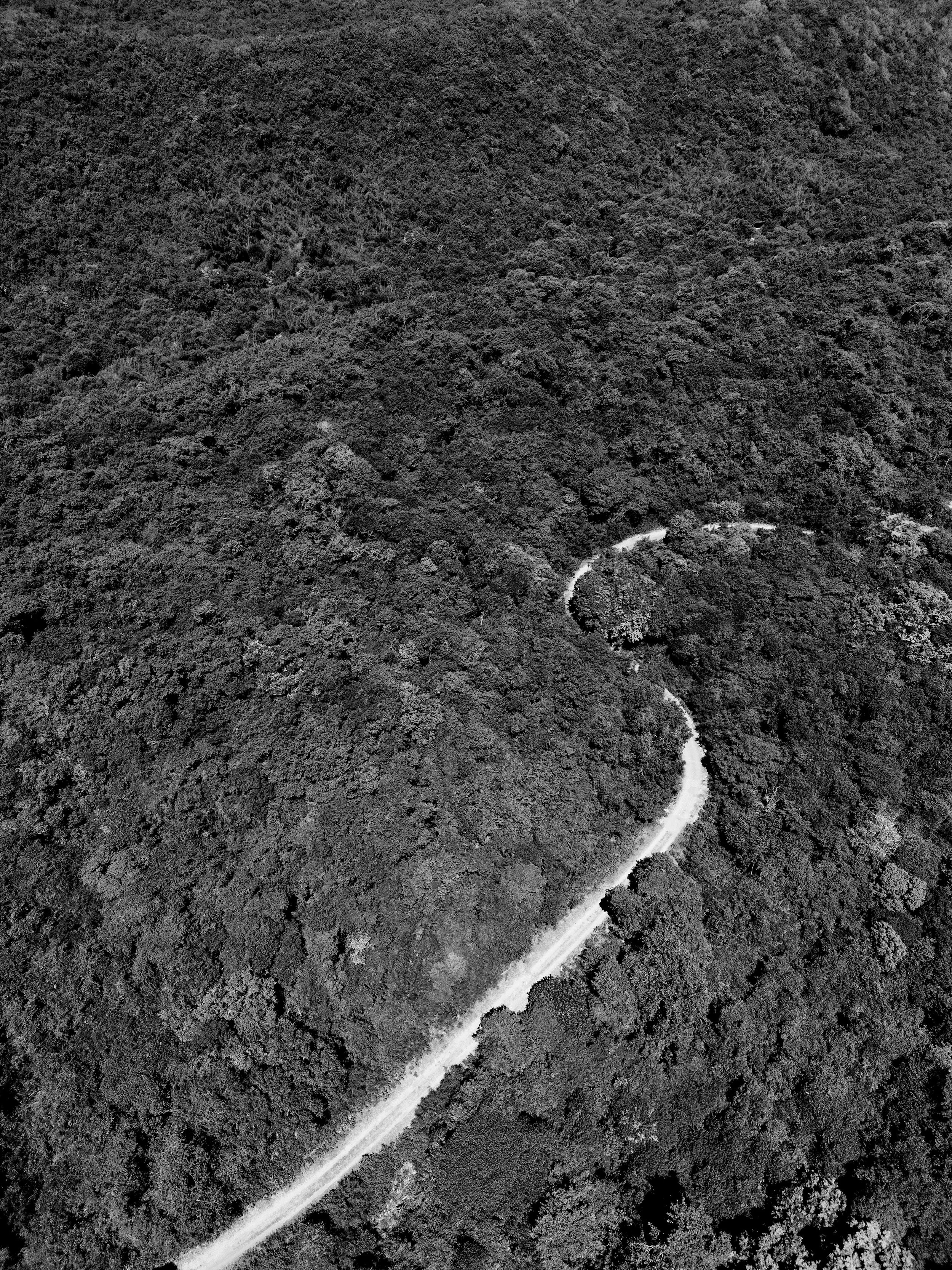 DJI_0221.jpg