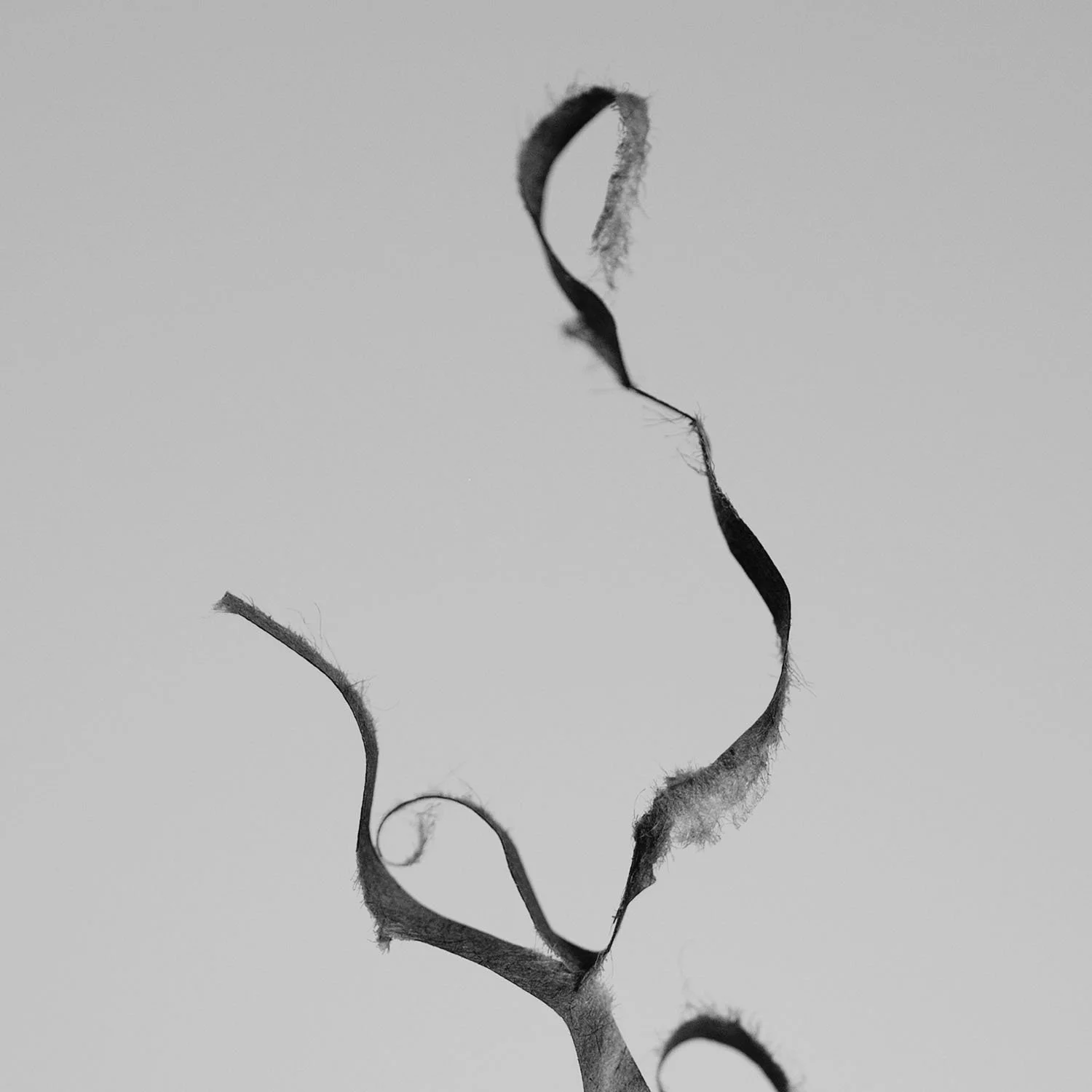 B0001183.jpg
