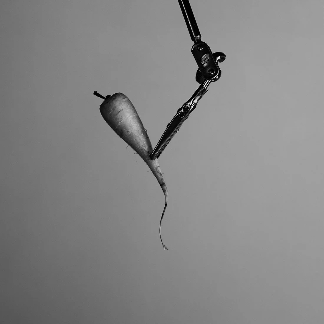 S1000665.jpg