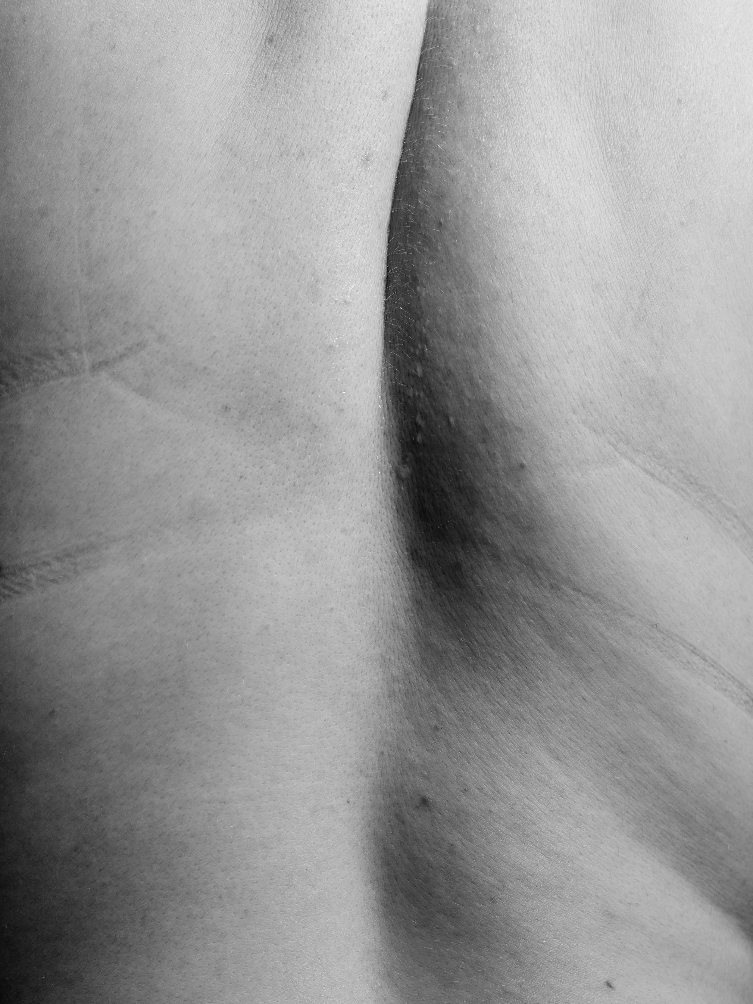 Lena B0038304.jpg