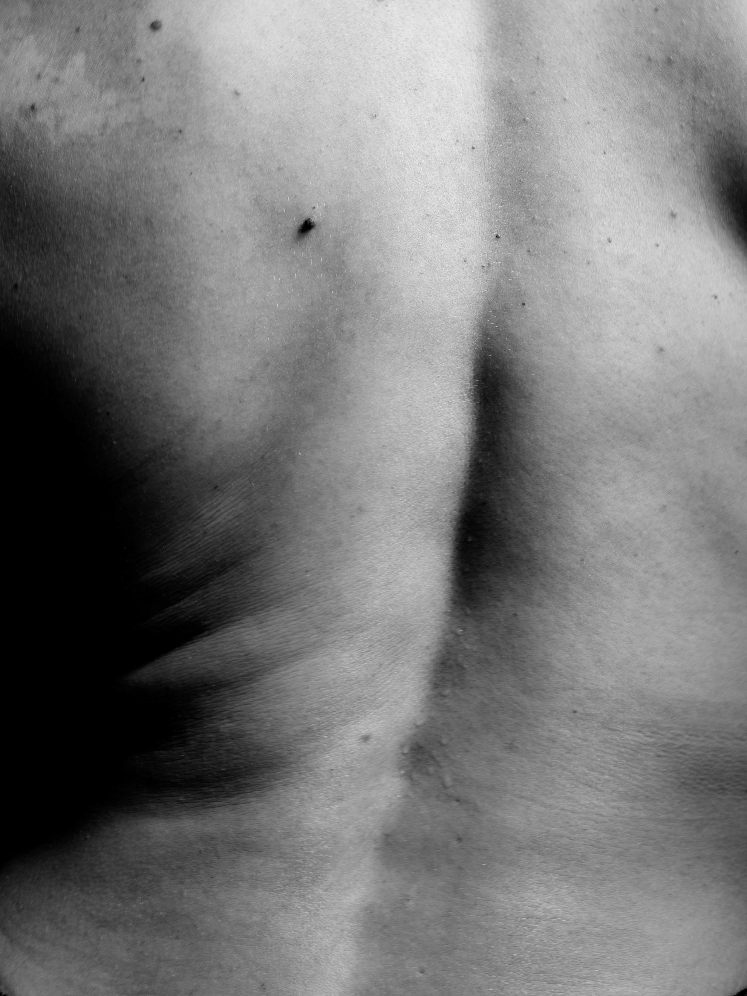 Ari B0037991.jpg