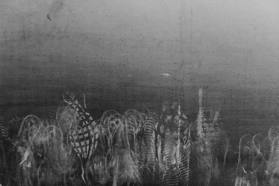 L1063589.jpg